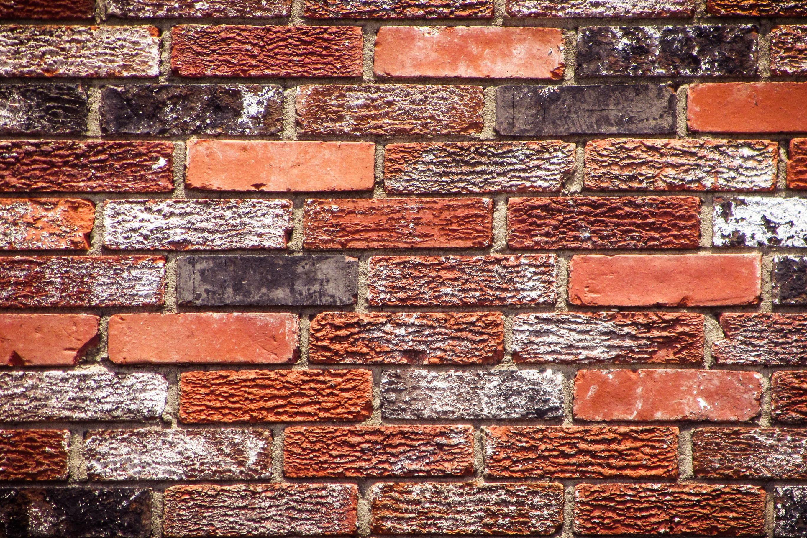 Скачать обои red, wall, bricks, cement, раздел текстуры в разрешении 2880x1620