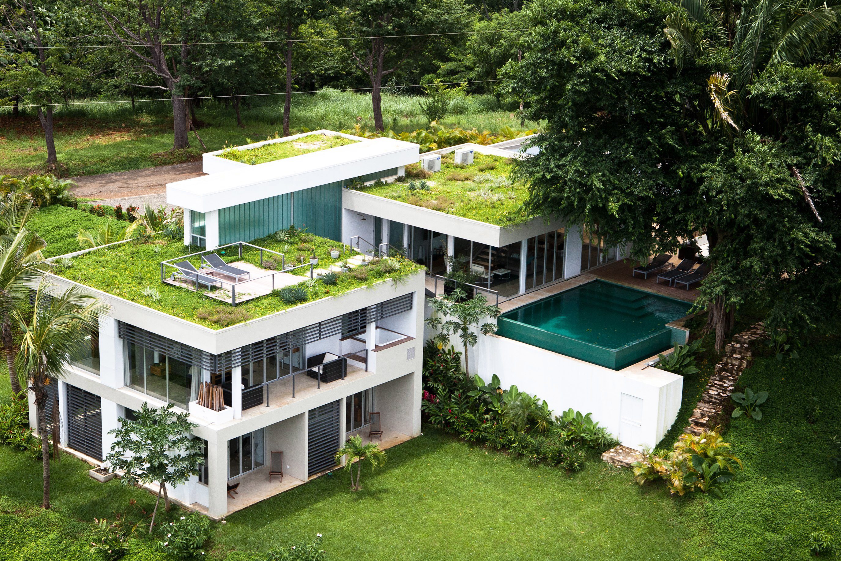 Эксплуатируемая плоская кровля Green Roof