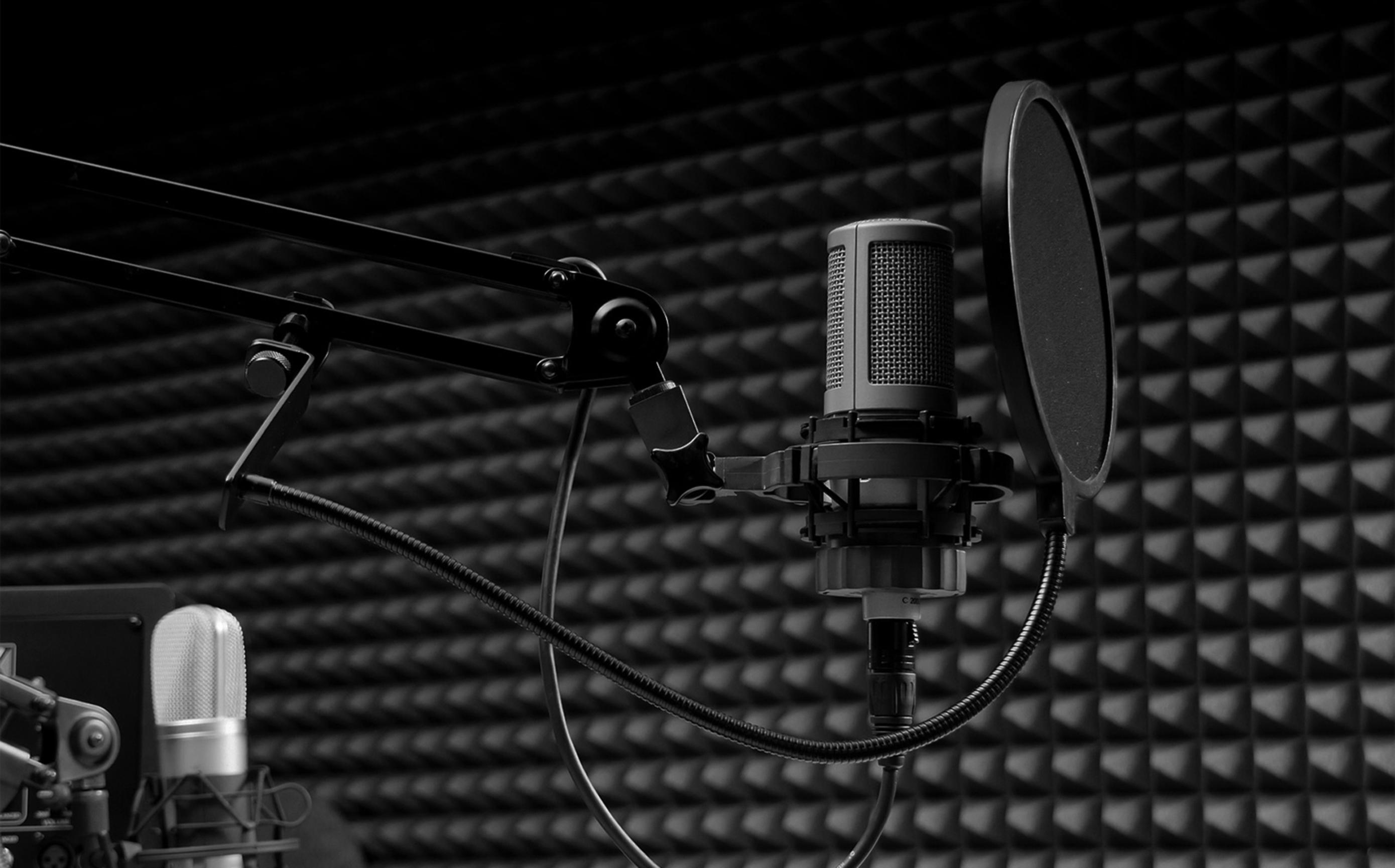 Без лишних звуков. Микрофон студийный AKG D 660 S. Ламповый микрофон Нойман студийный. Студийный микрофон dpa 2006c. Stam Audio sa-87 студийный микрофон.