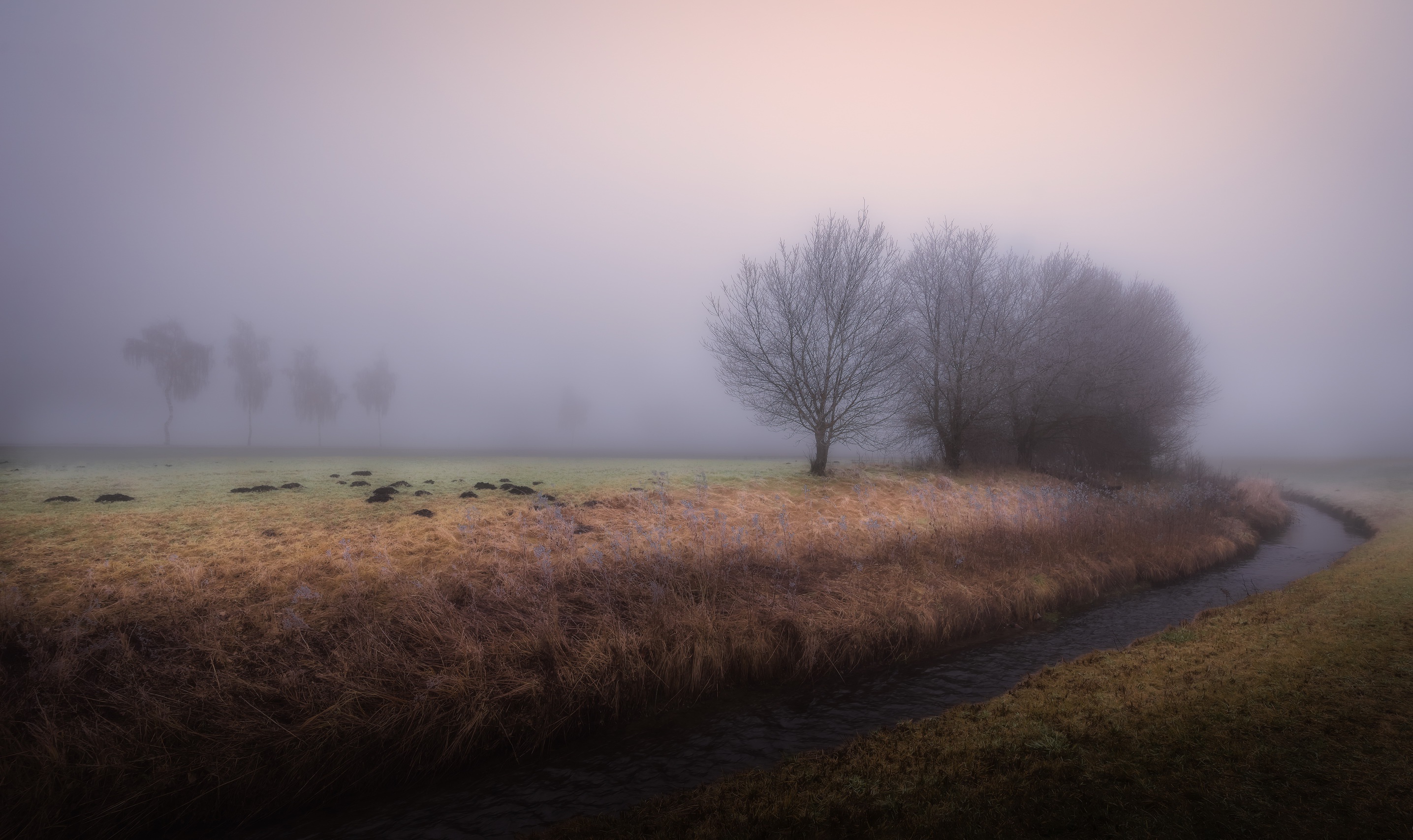 Песня серое утро. Поле в тумане. Природа туман. Природа туман поля. Туманное утро в деревне.