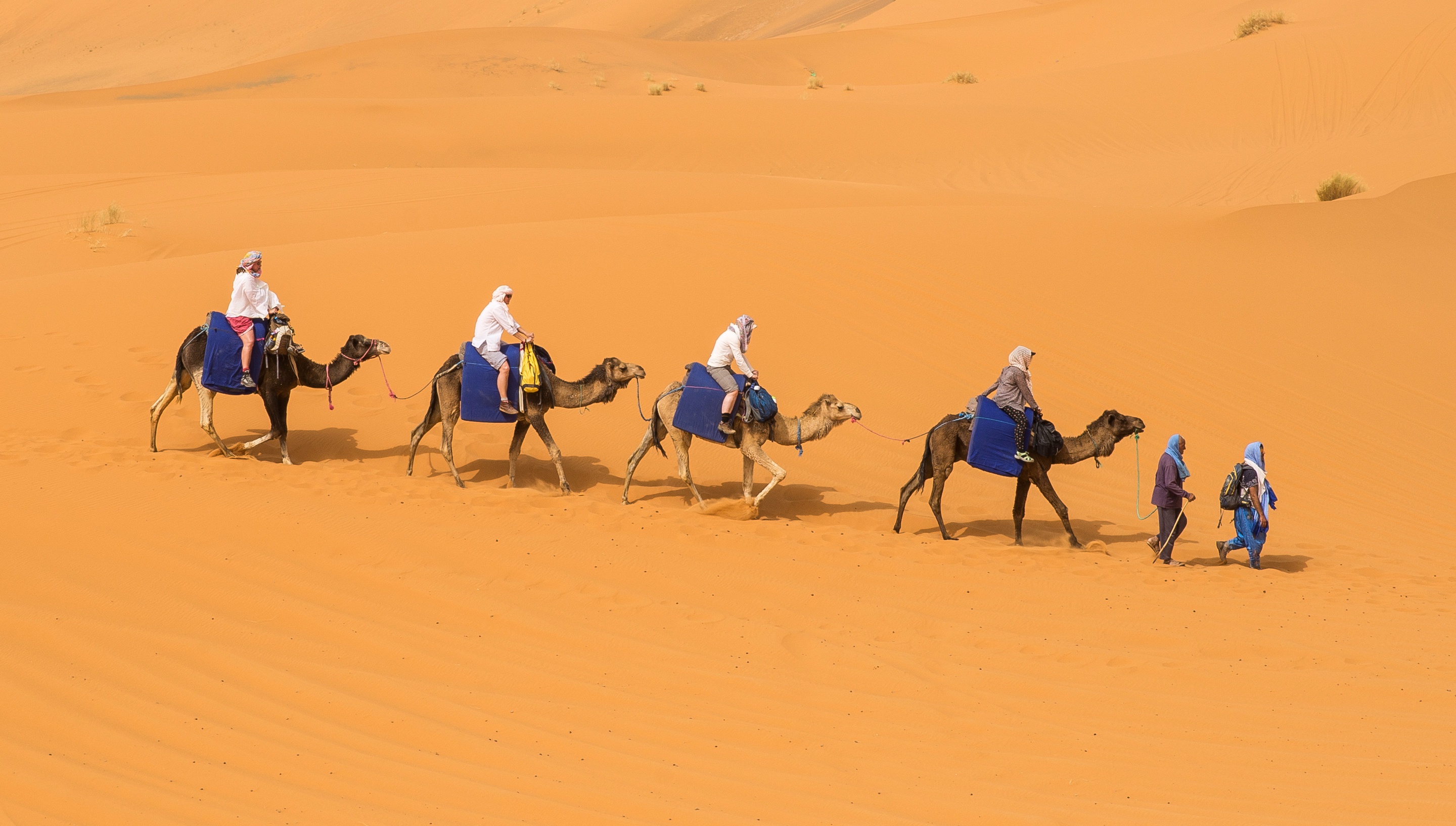 Караван движется. Мехари верблюд. Бедуин на верблюде. Караван с верблюдами в пустыне. Бедуин с верблюдом в пустыне.