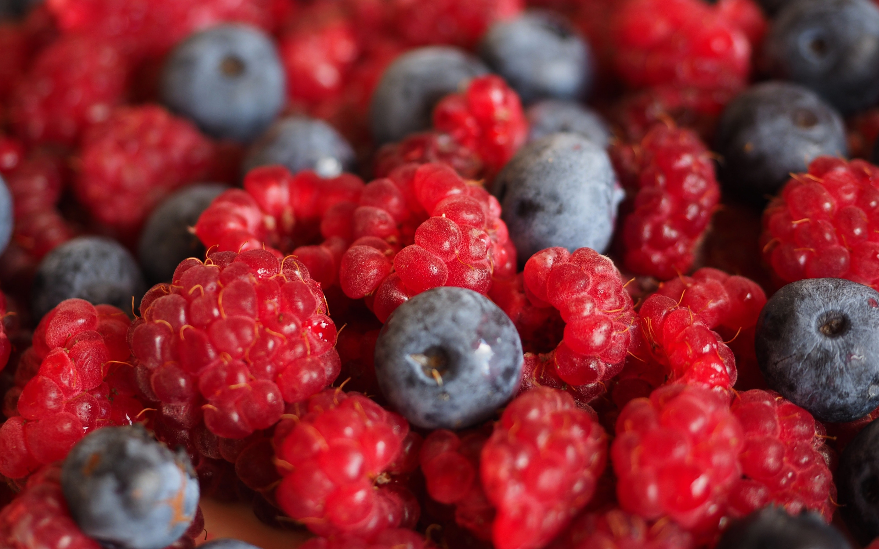 Ягода имя девочки. Ягоды Berries. Фрукты фото красивые. Роскошь ягод. Ягоды БАВ.