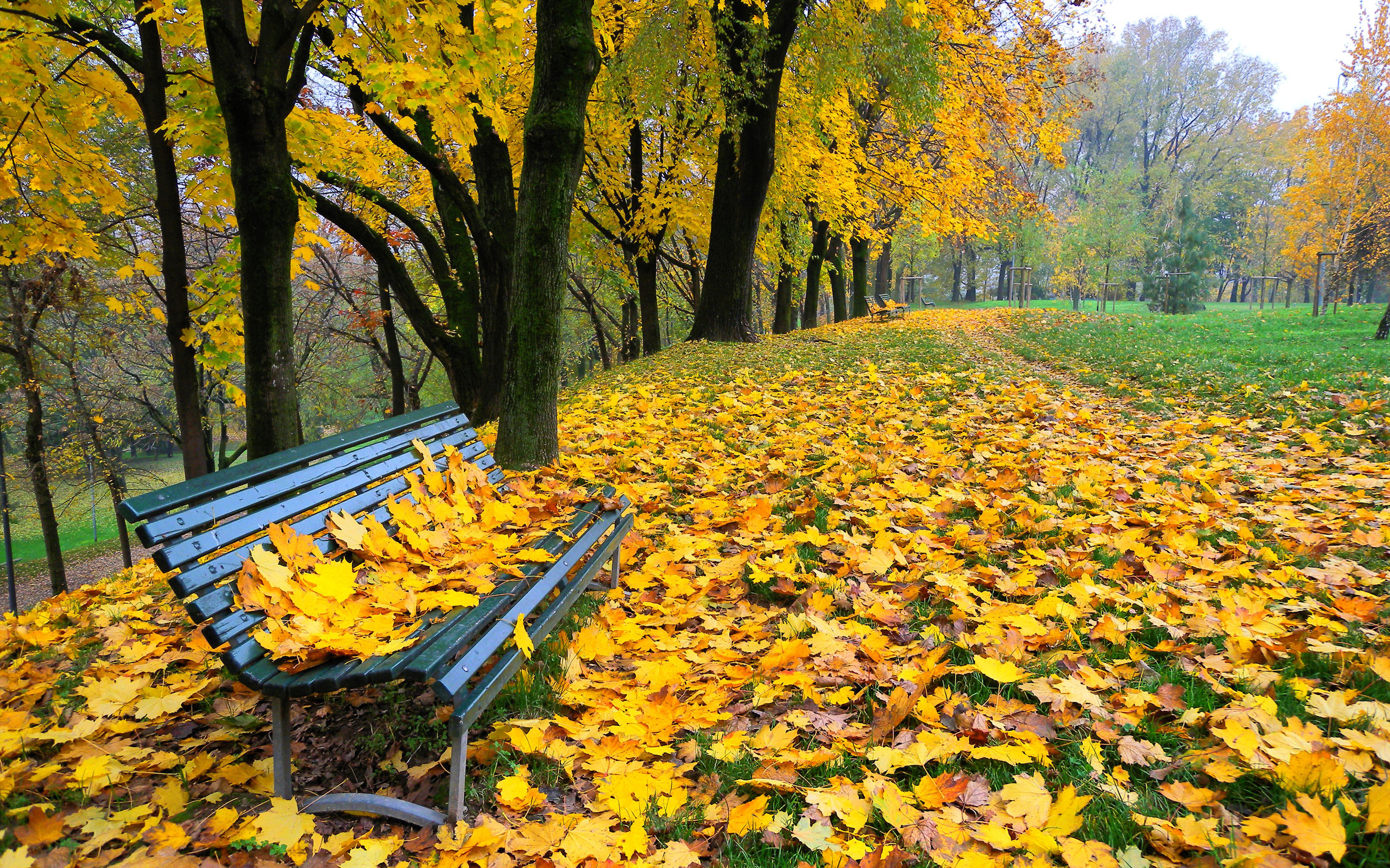 Куз тимэсен. Осень в парке. Осенний листопад. Осень листопад. Золотая осень в парке.