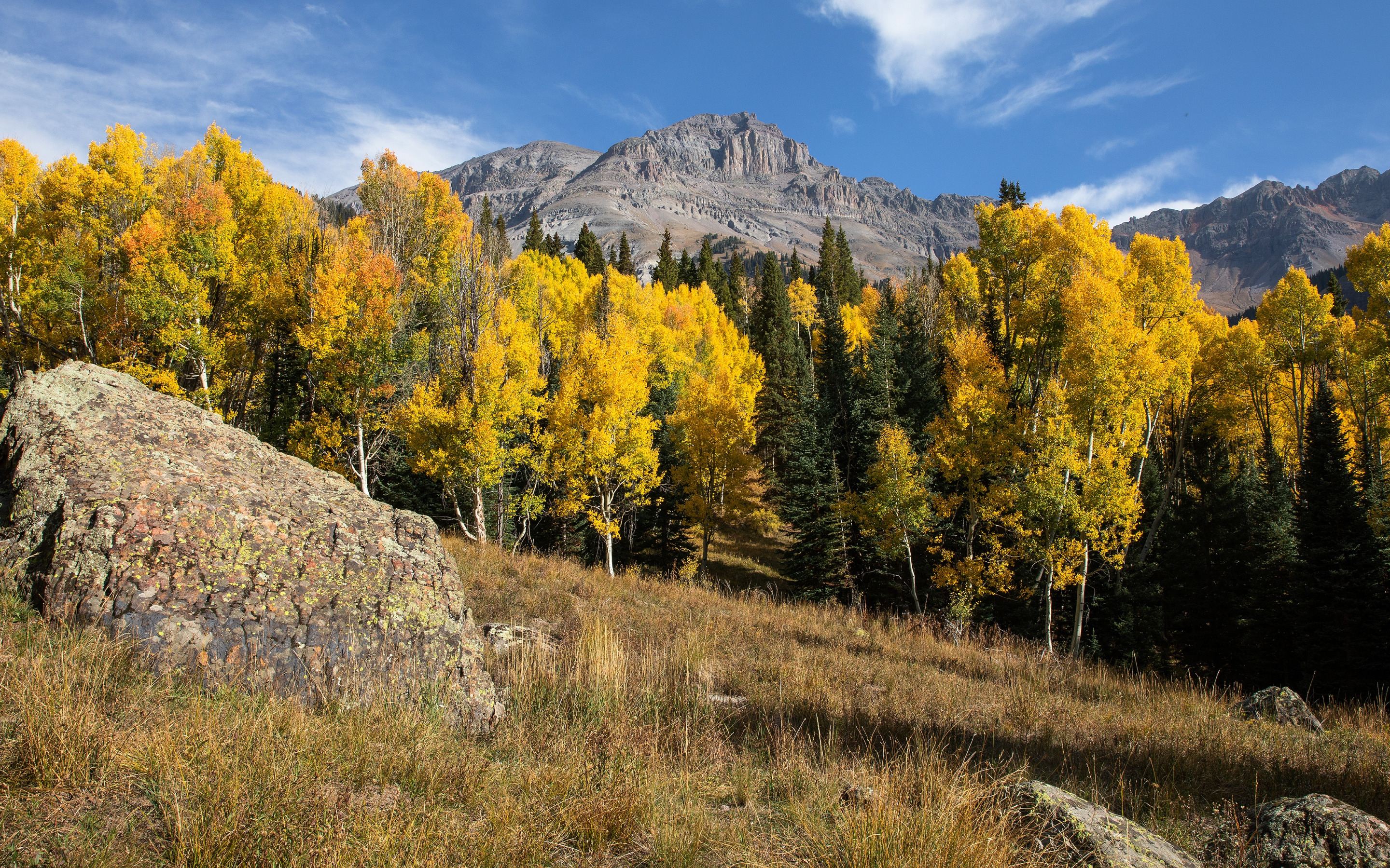 Желтые холмы. Скалы осень. Холмы горы лес осень. Горы скалы осень. Природа осень Поляна горы.