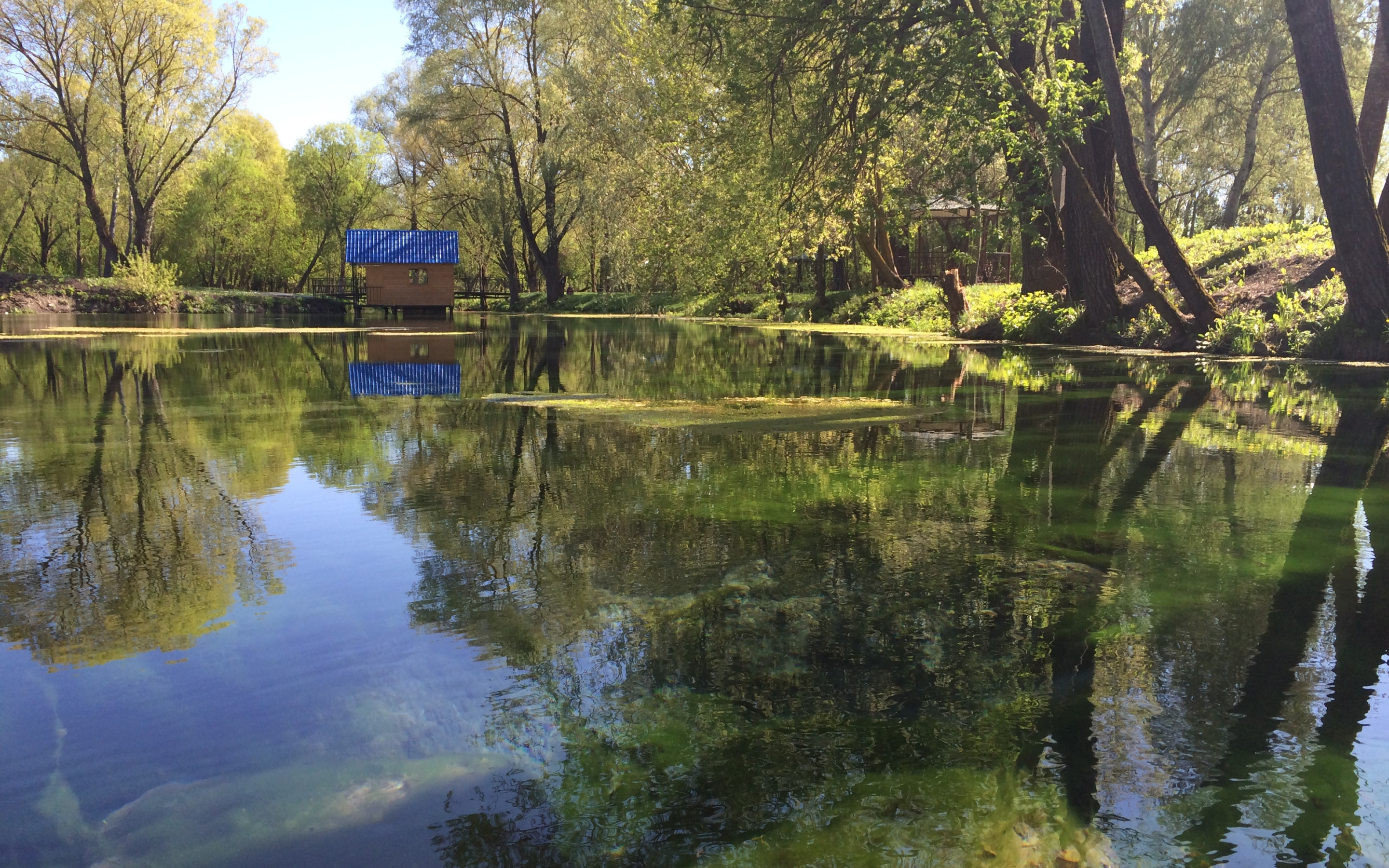 Вода пруд. Пруд. Вода в пруду. Отражение в пруду. Отражение в монастырском пруду.