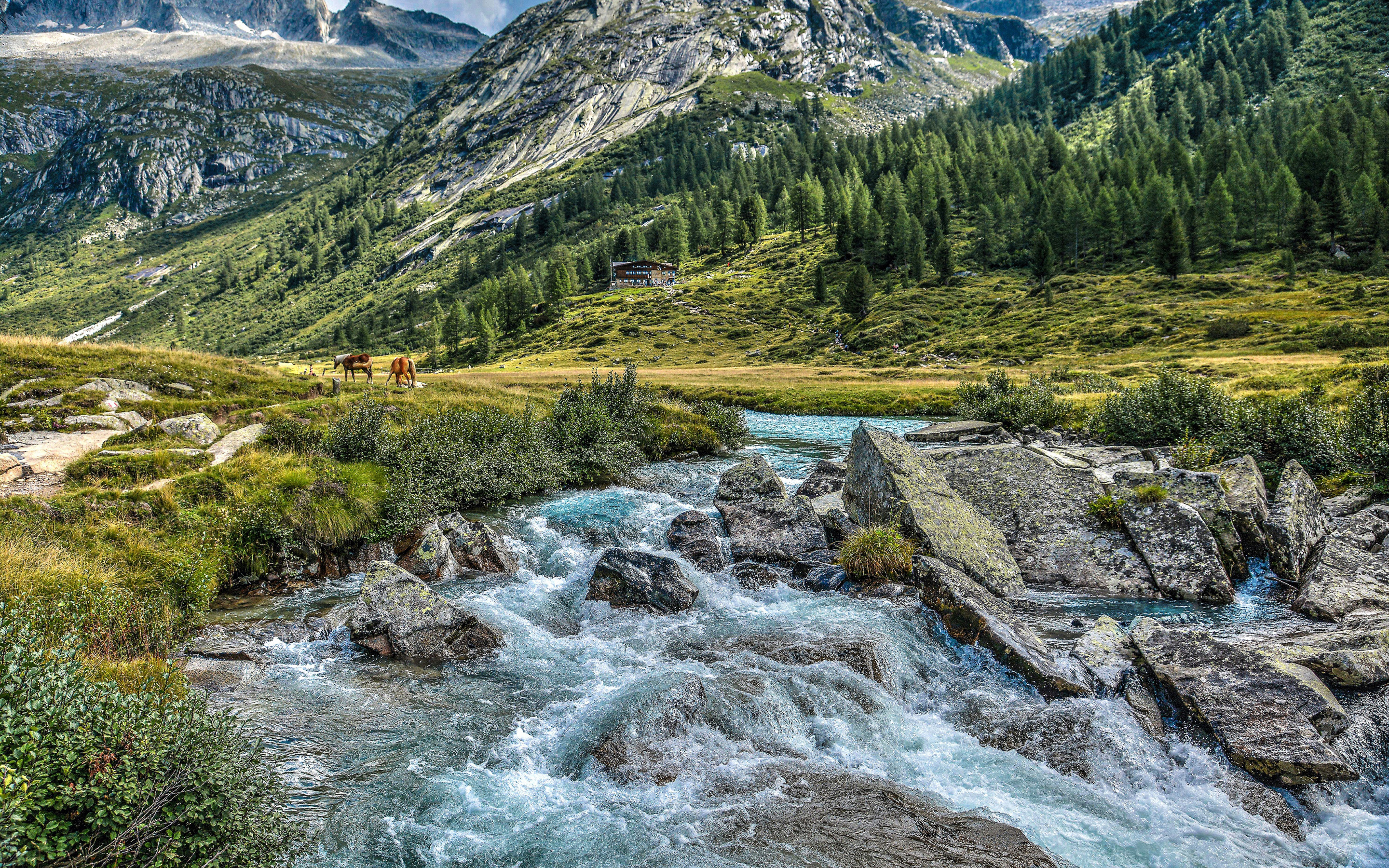 В долине реки по жили. Горные реки Альп Италия. Долина Чулышман горный Алтай. Альпы горный ручей. Горные Долины с речкой.