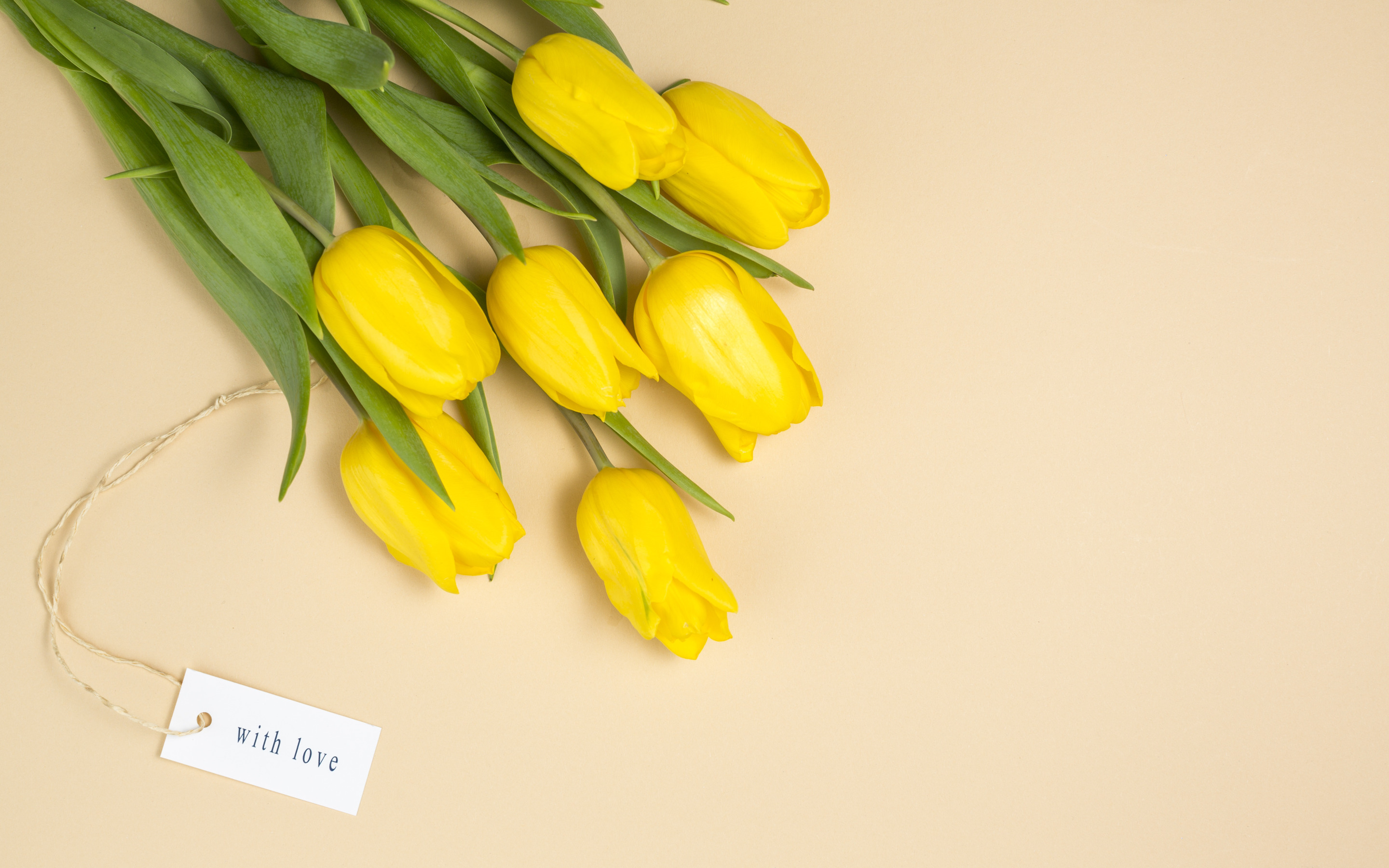 Почему желтые тюльпаны вестники разлуки. Желтые тюльпаны. Тюльпаны фон. Тюльпаны на желтом фоне. Желтые тюльпаны на белом фоне.