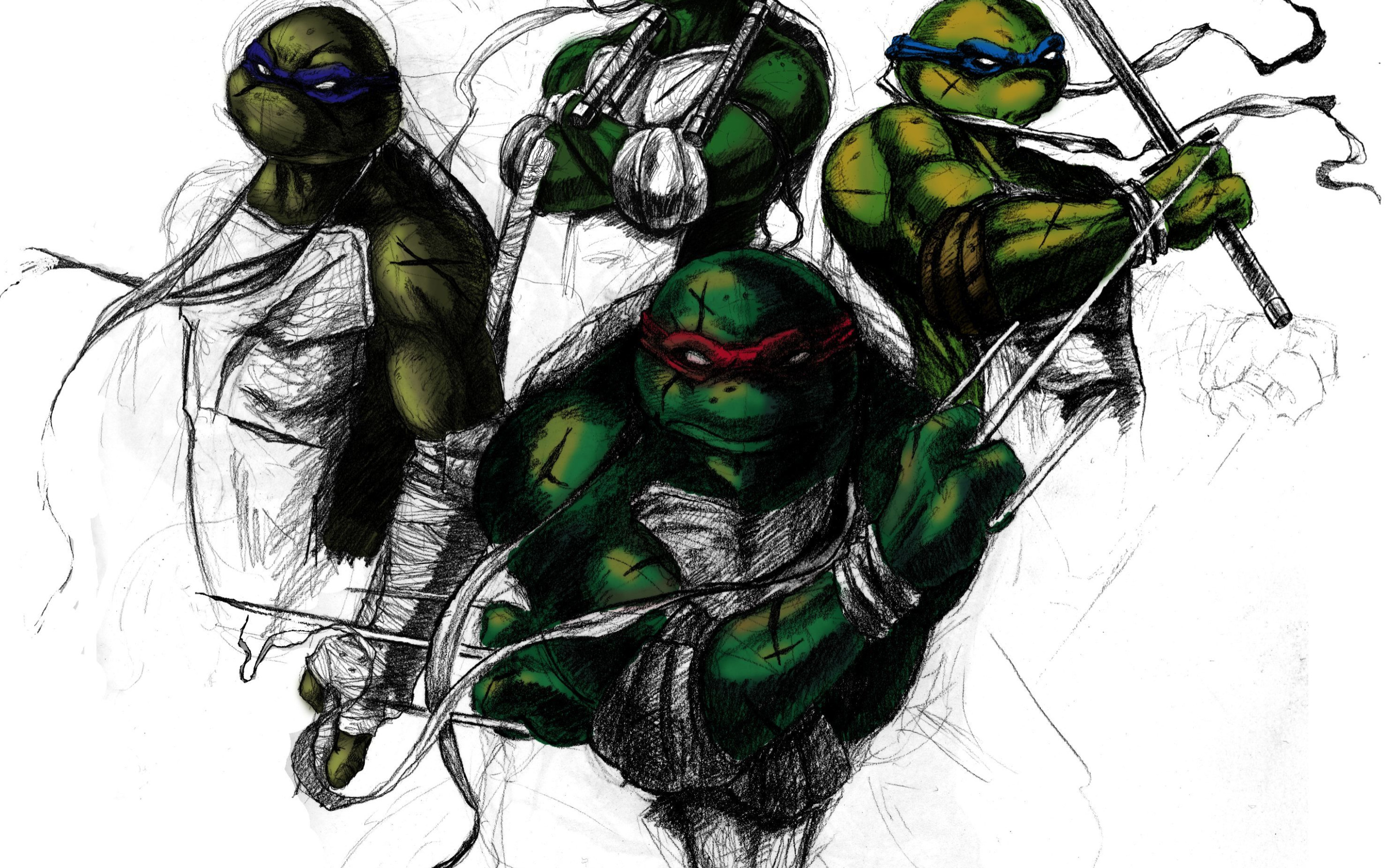 Донателла черепашка. Черепашки ниндзя Лео. Тмнт 2003 РАФ. TMNT 2003 Leo. Донателла черепашка ниндзя.