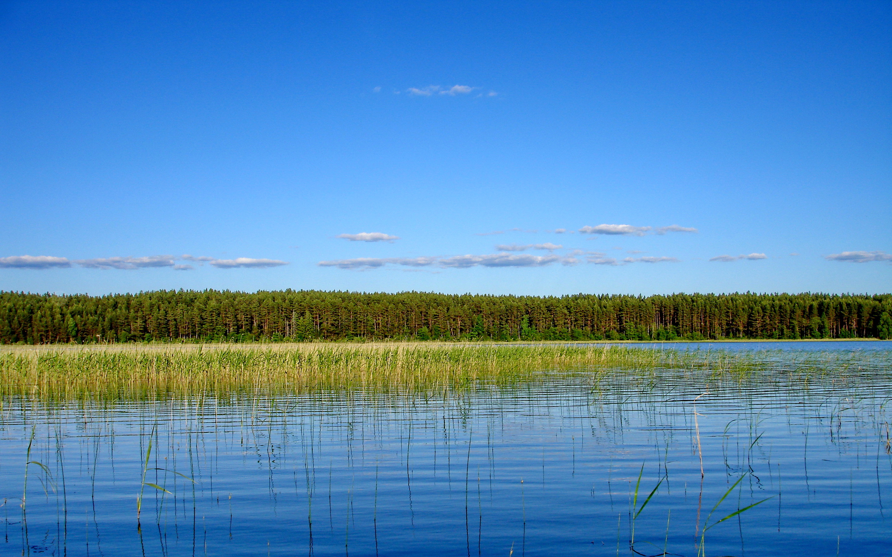 Водная система озер. Селигер черное озеро. Озеро Селигер вода. Озеро Убинское природа. Оз Убинское Новосибирская область.