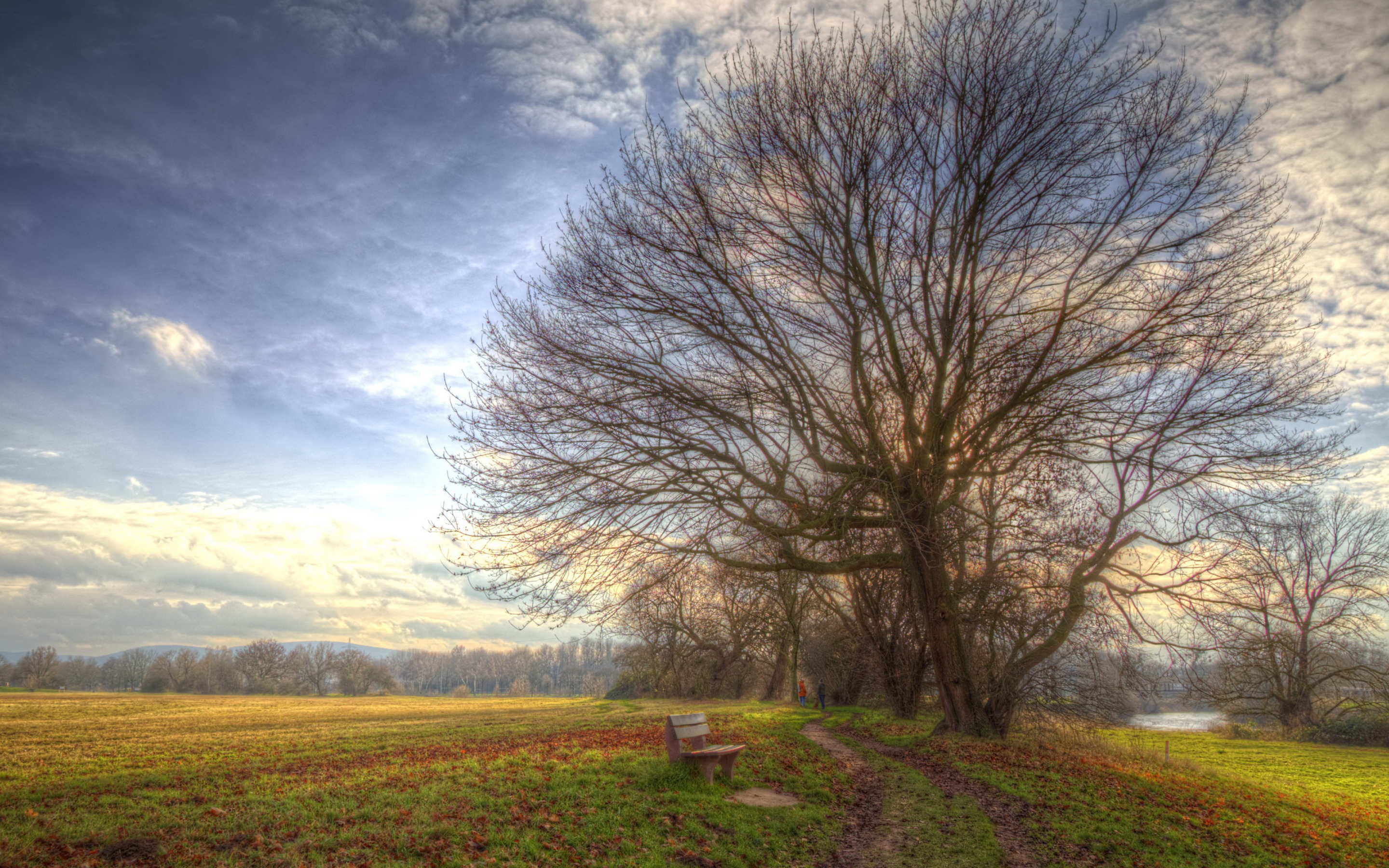 Fallen field