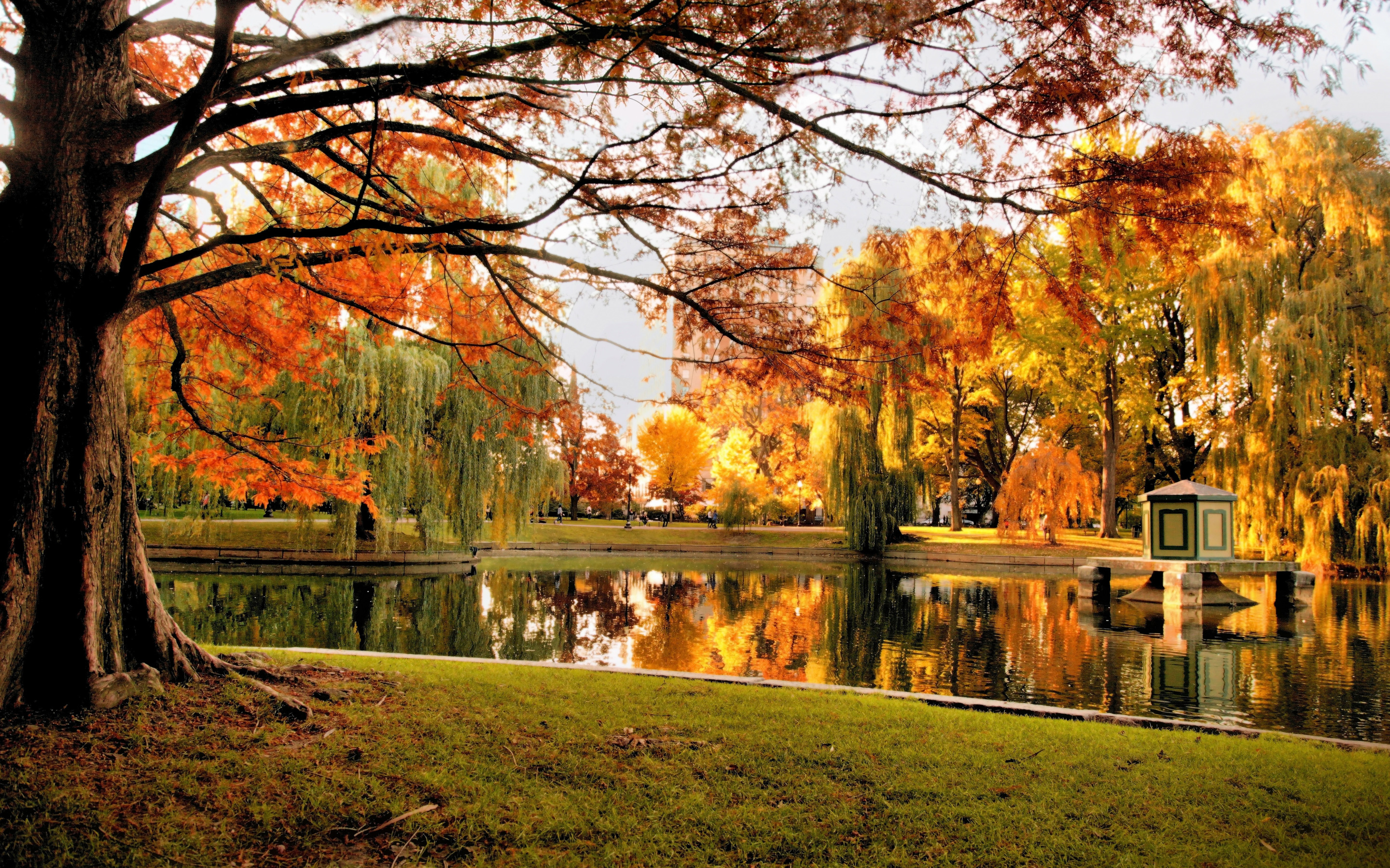 Осенний Бостон парк. Осень парк. Осенний сад. Осень в парке.