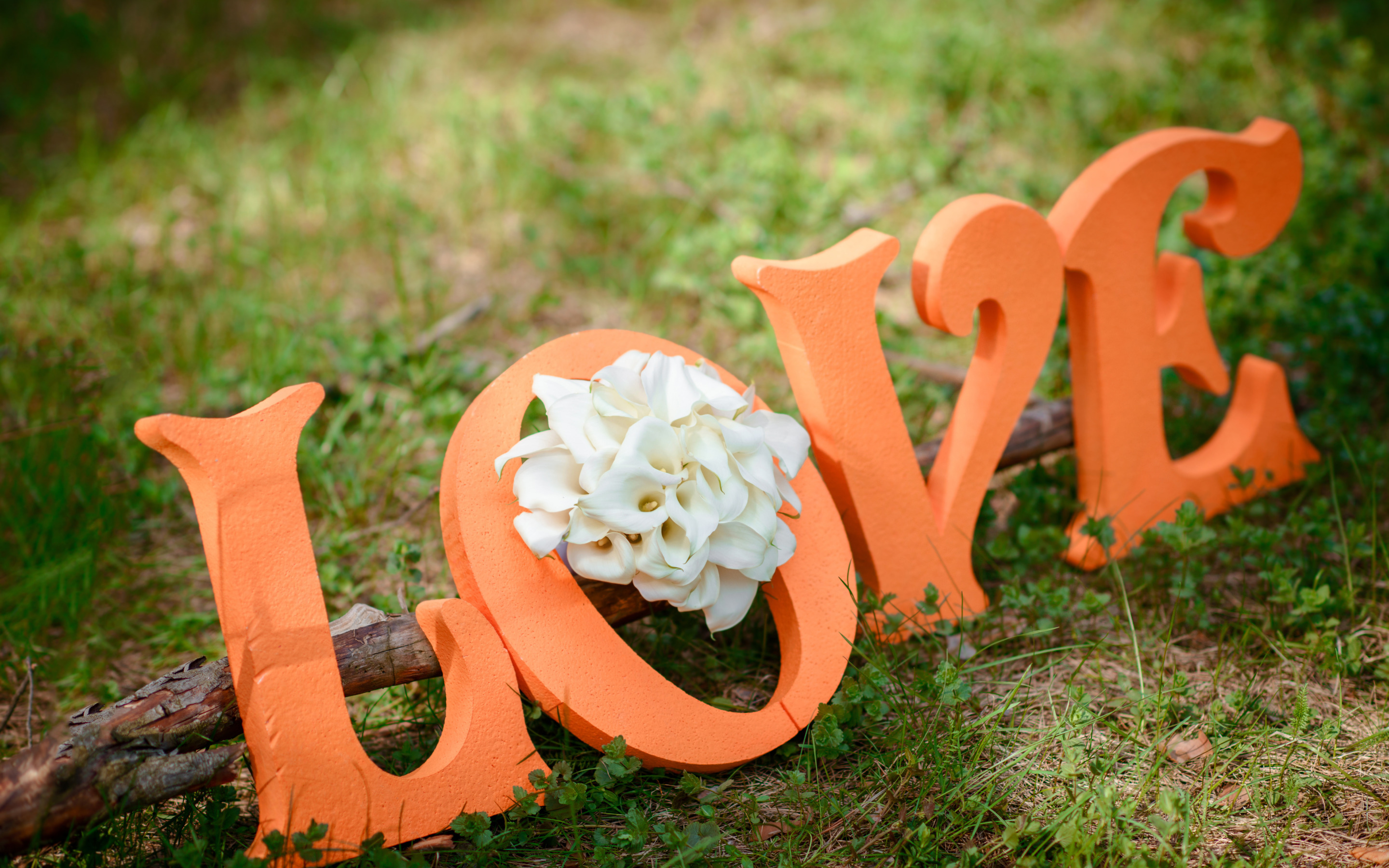 Буквы для фотосессии. Буквы на свадьбу. Буквы из пенопласта на свадьбу. Деревянные буквы на свадьбу. Лов цветы