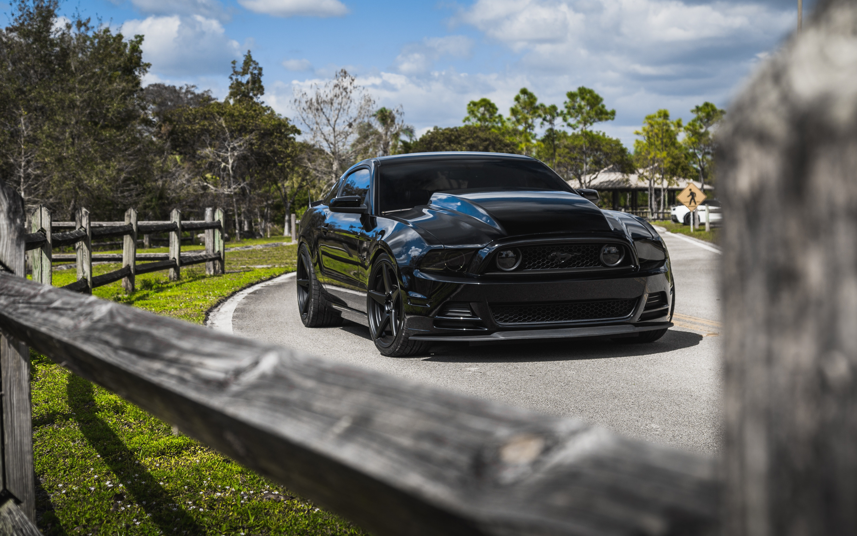 Ford Mustang gt 2018 Black