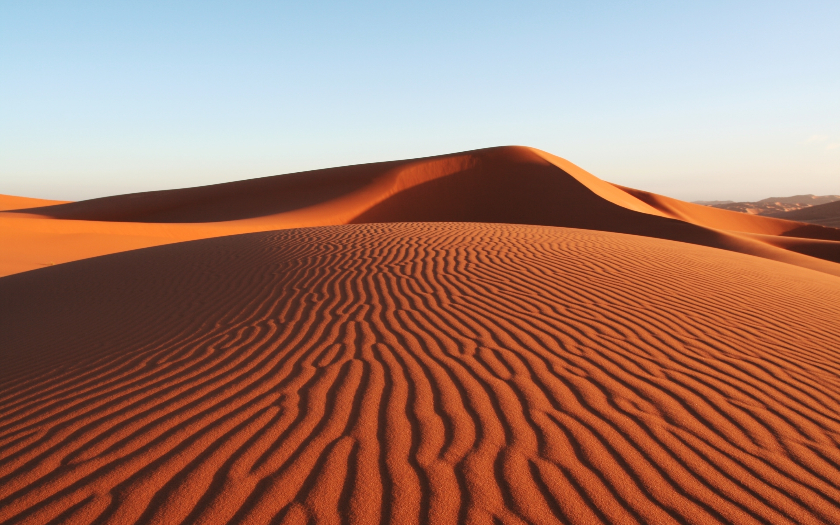 Дюна интересные факты. Белые и красные дюны во Вьетнаме. Пустыня сахара дюны. Что такое кокпековые пустыни. Пустыня Барханы Оазис.