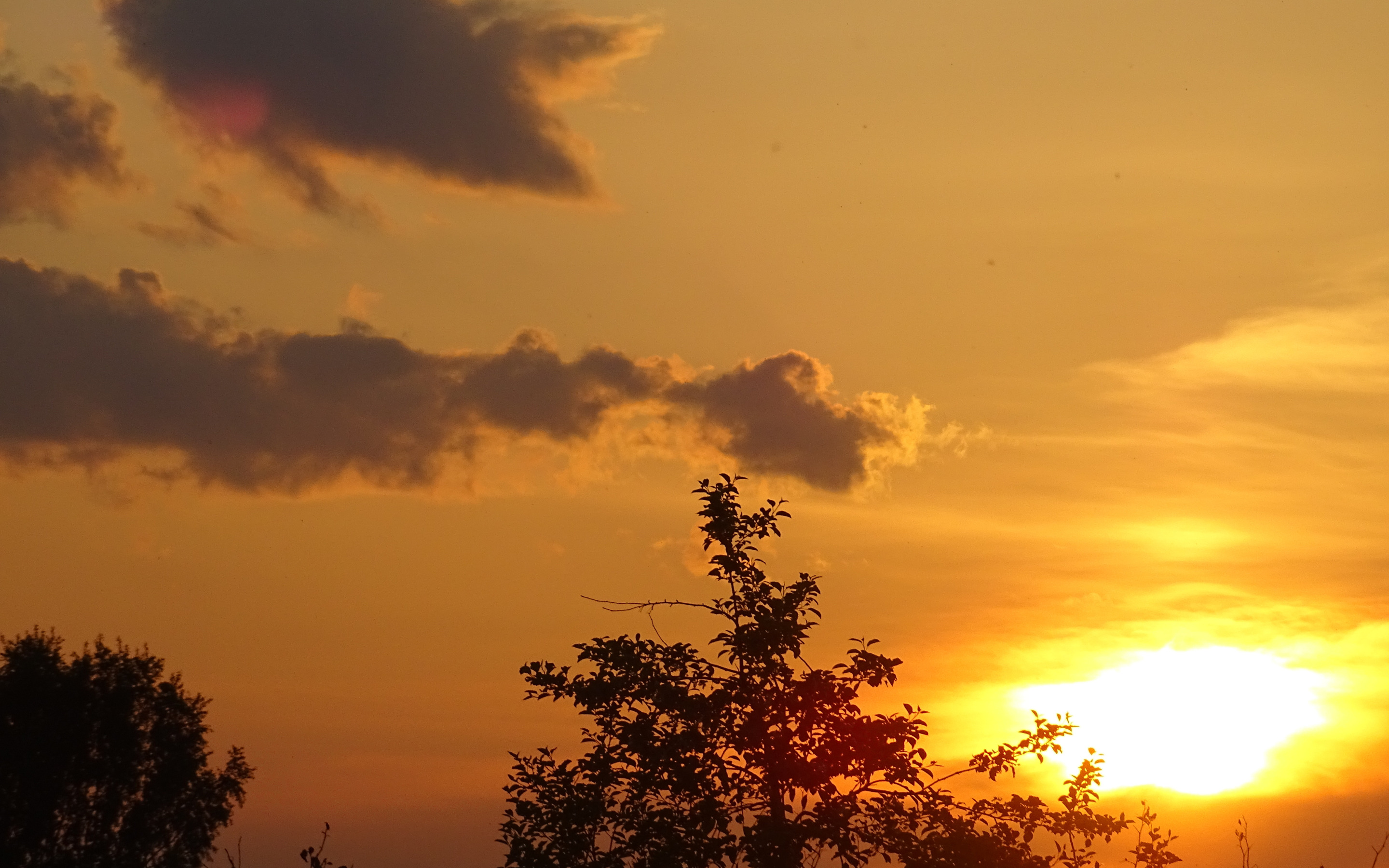 Orange sunset andy. Оранжевый закат. Оранжевый закат Эстетика. Солнце Эстетика. Оранжевый закат сохры.