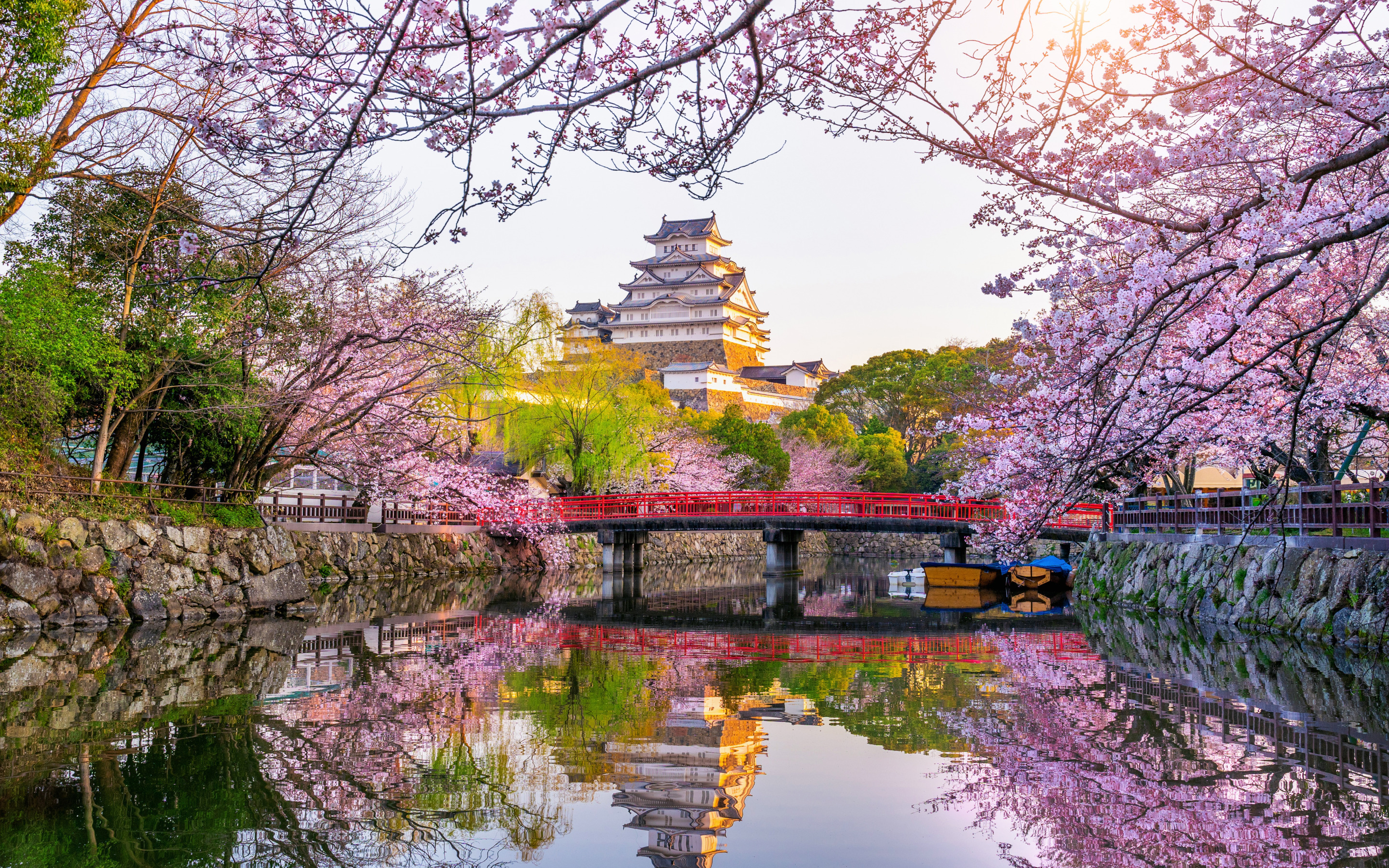 Япония пон. Замок Химэдзи. Химэдзи Сакура. Япония замок самураев Сакура. Киото цветение Сакуры.