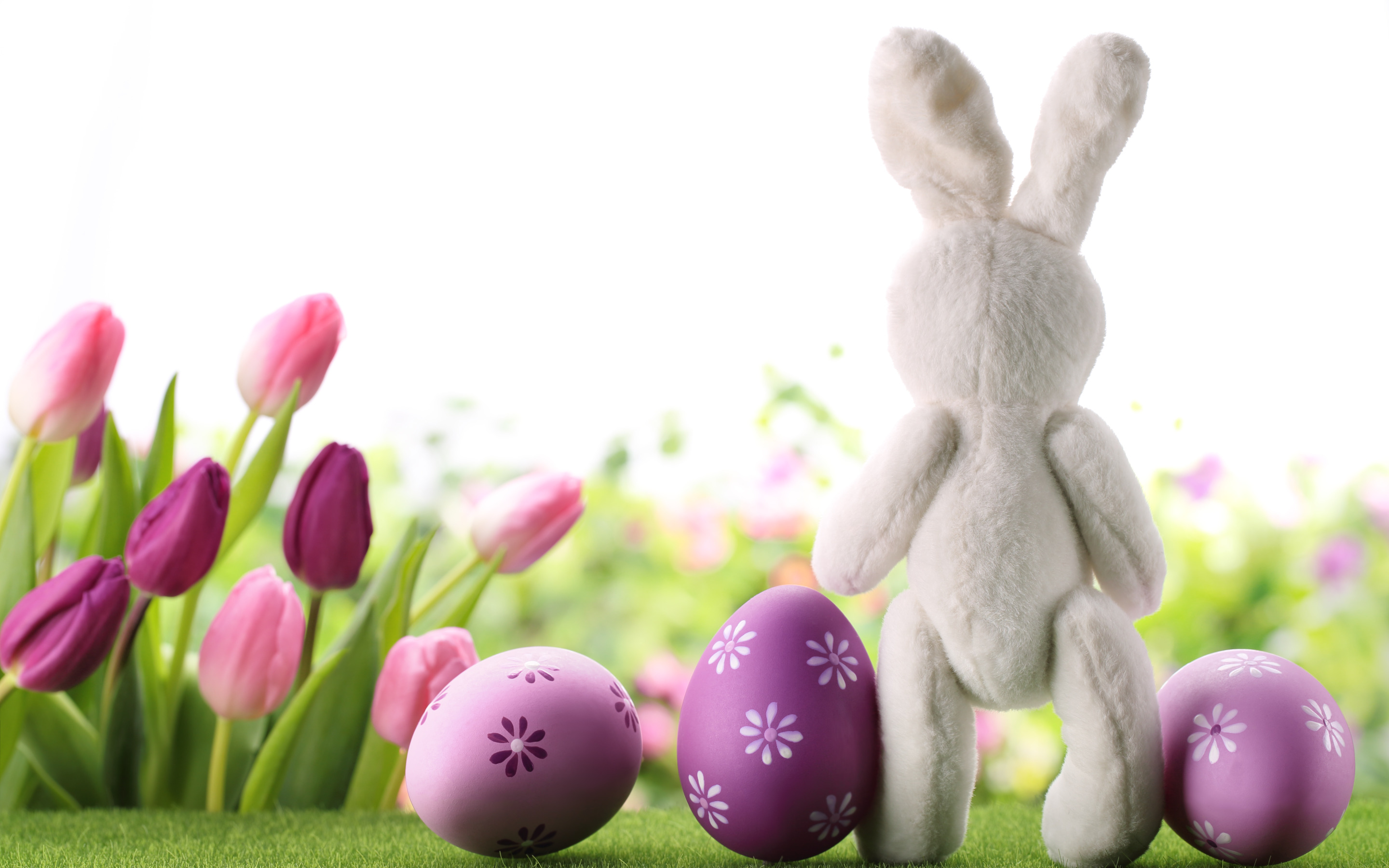 Почему пасхальный кролик является символом пасхи. Картинки весенние праздники пасхального кролика. Фотообои Пасха. Пасха зайчик Верба. Пасхальный кролик с вербой.