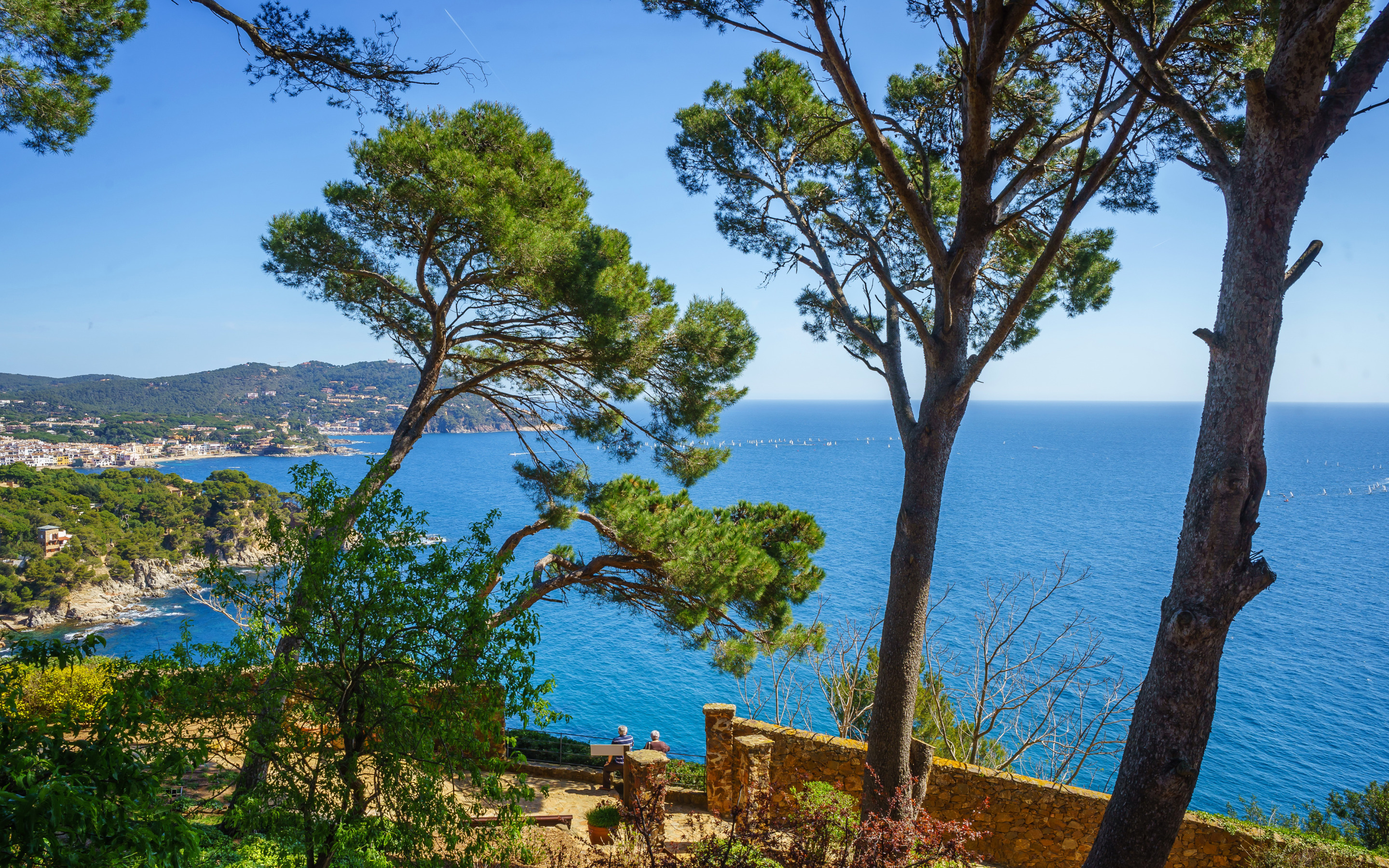 Испания море обои Коста Брава. Сосна побережье Коста Брава. Costa Brava сосны. Леса Испания Коста Брава.