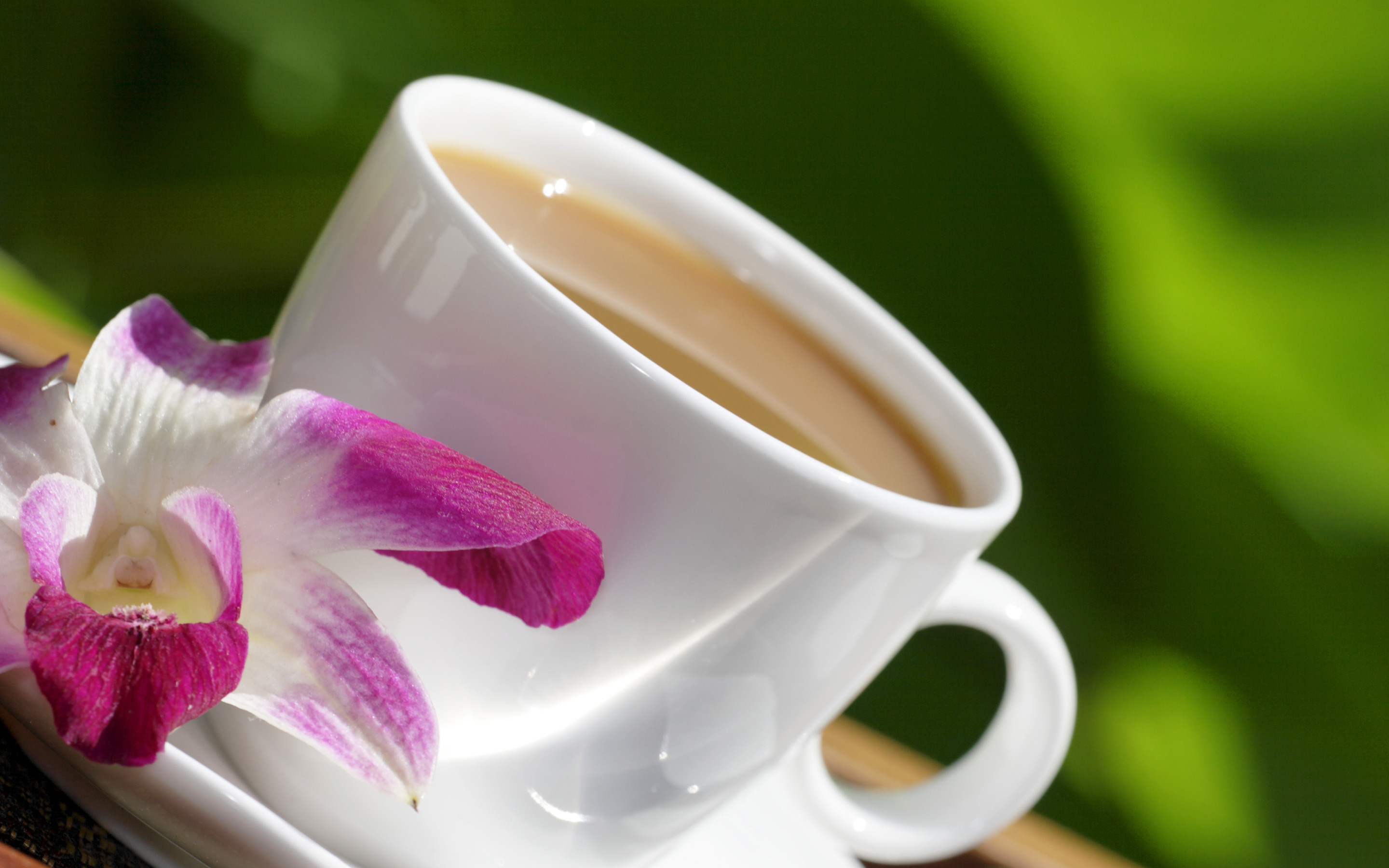 Цветок у которого есть чашечка. Утренние цветы. Цветы в чашке. Кофе и цветы. Чашка кофе.