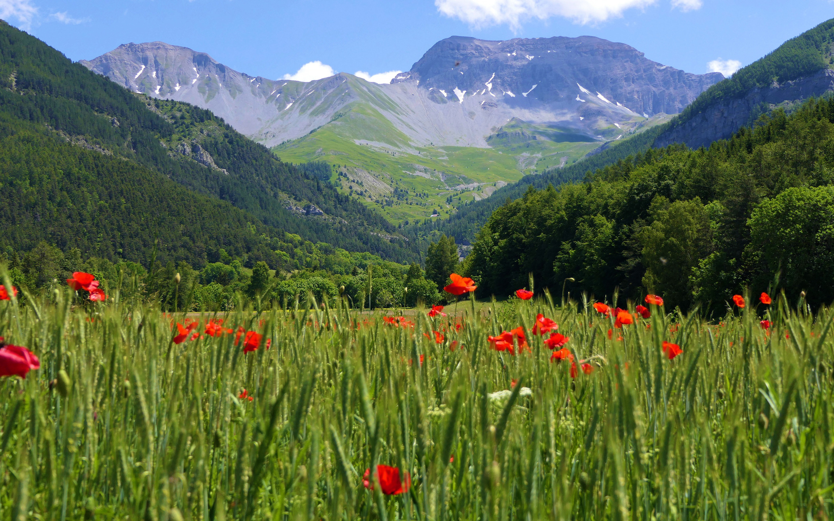 Альпы горные Луга Швейцария