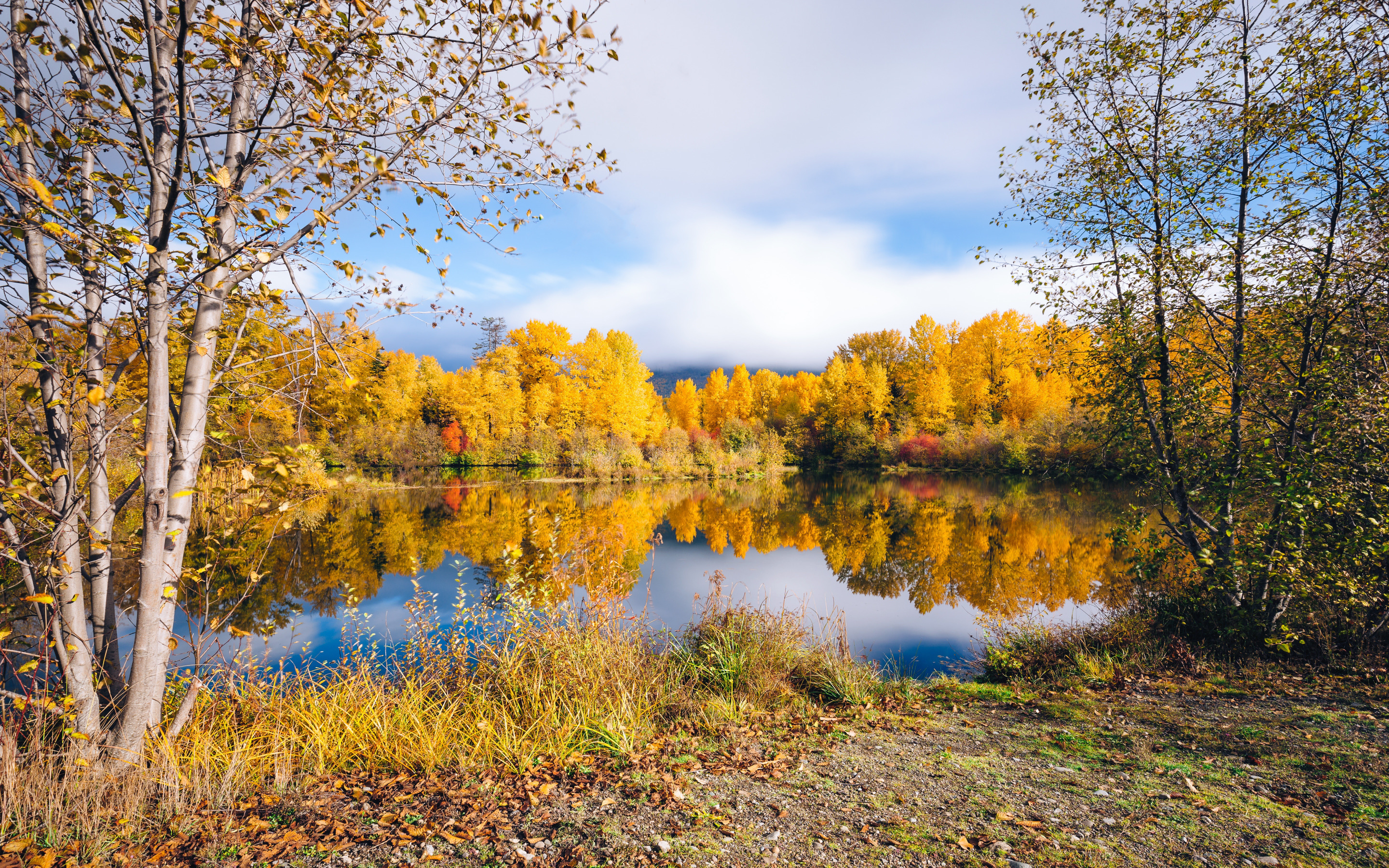 Осенние пейзажи осени. Пейзаж осени. Природа осень. Осеннее озеро. Осень озеро.