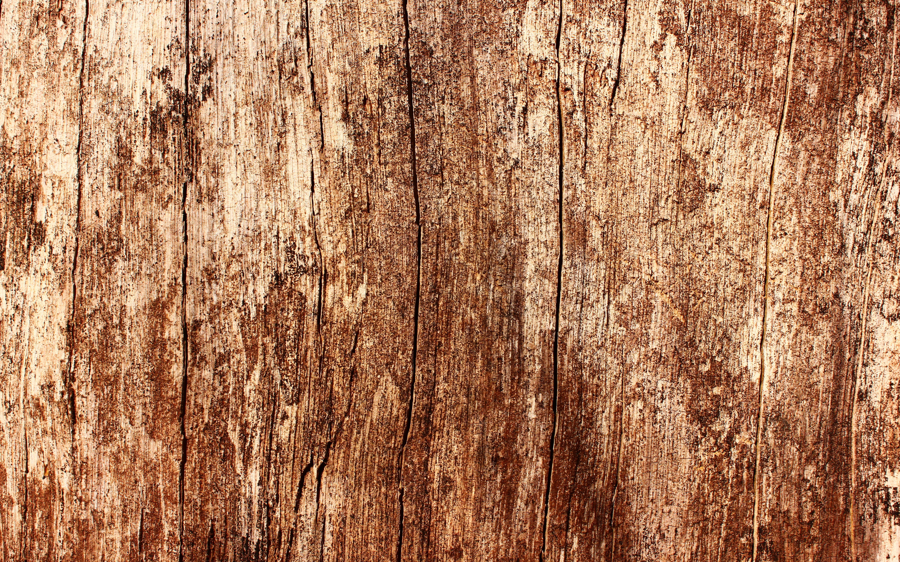Wooden patterns. Текстура дерева. Фактура дерева. Текстура старого дерева. Фон дерево.
