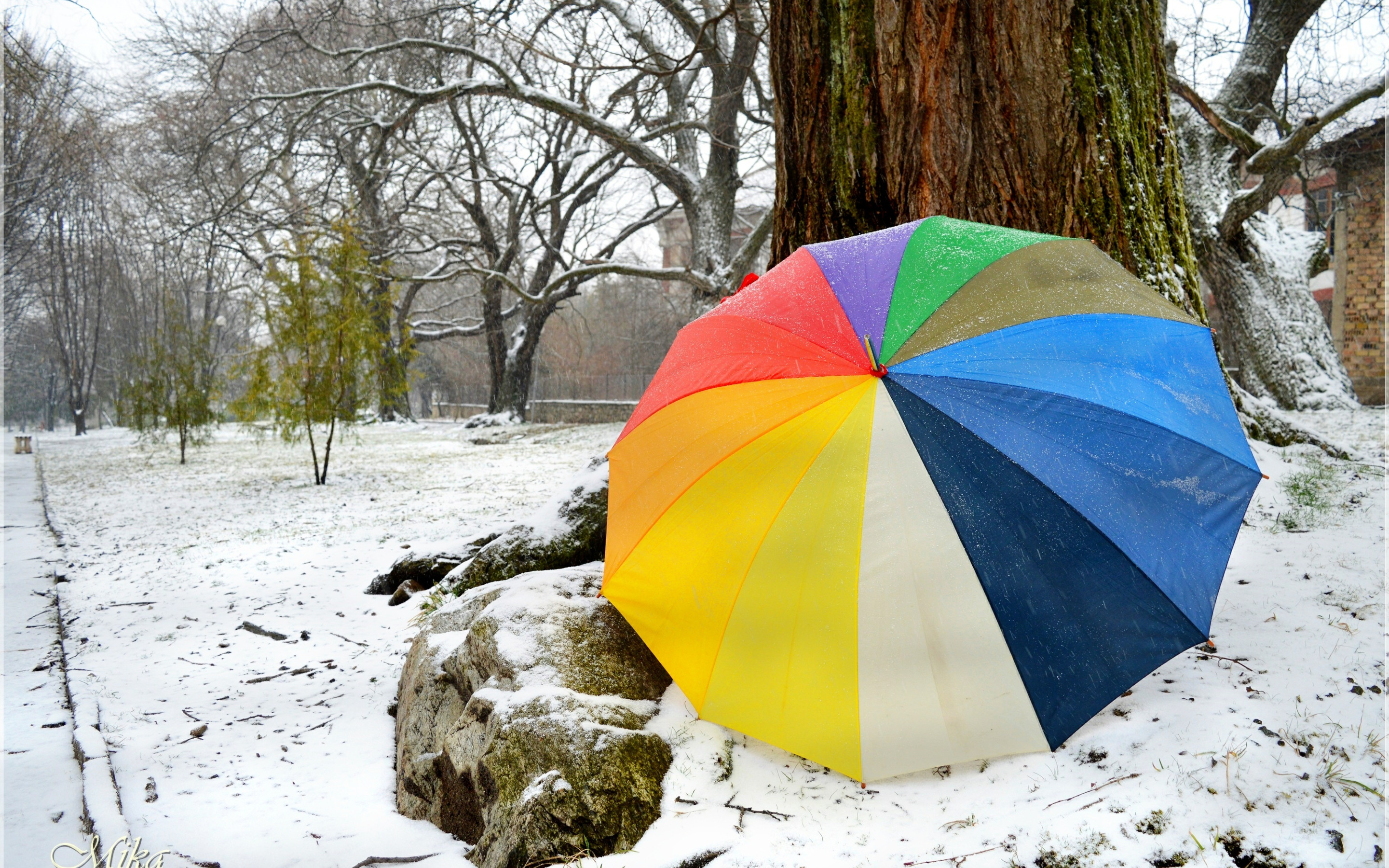 Зонтики 10. Зонтик. Зимний зонт. Зонтик зимой. Снег на зонтике.