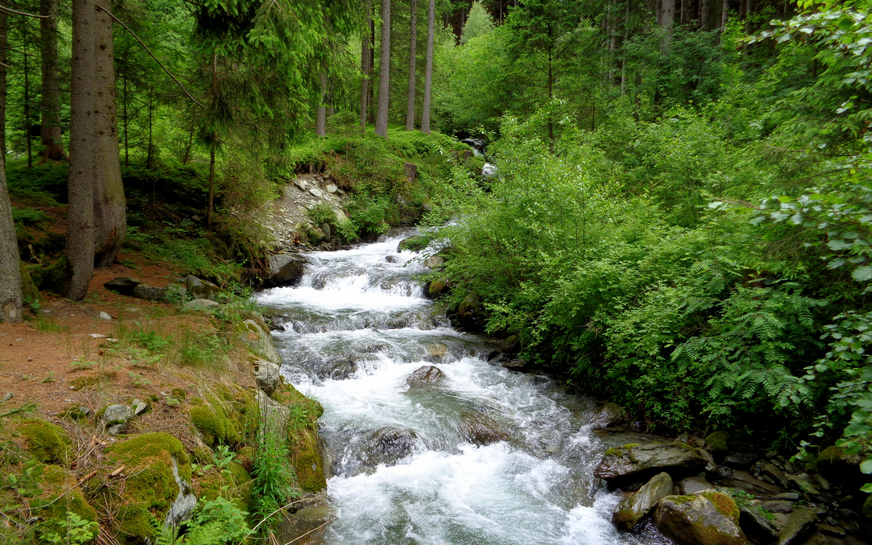 Звук реки слушать. Лесная река. Ручей. Речка в лесу. Природа ручей.