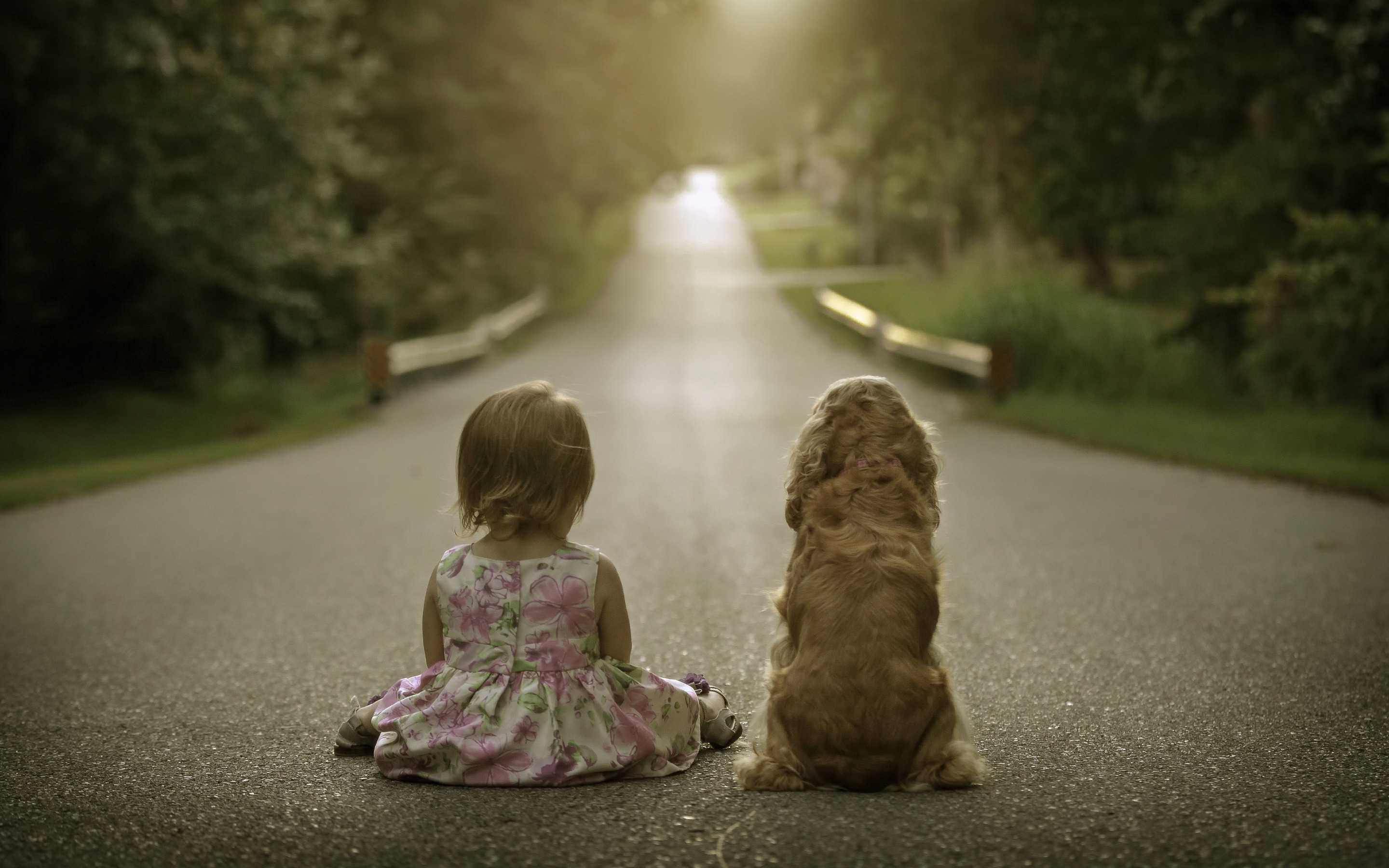 Моя собачка стоит дороже тебя. Маленькая девочка на дороге. Девочка уходит. Дети идут по дороге. Девочка идет по дороге.