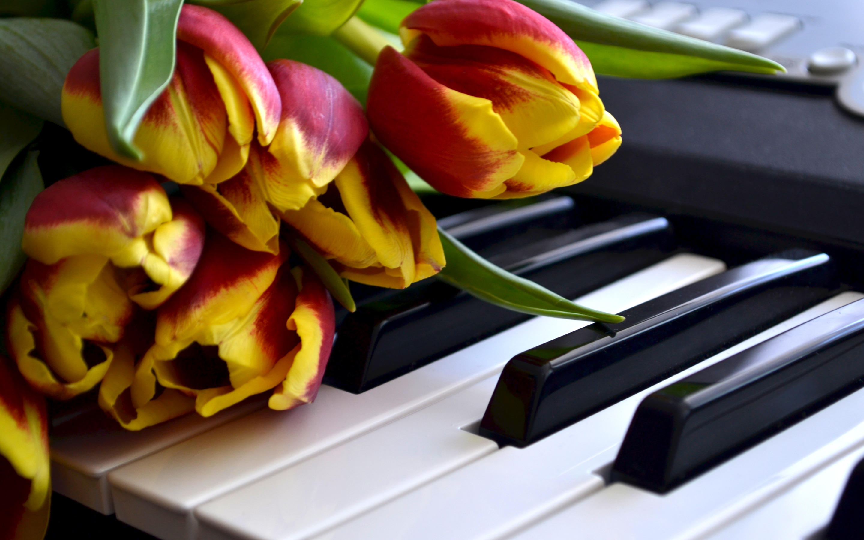 День весенней музыки. Пианино с цветами. Цветы на рояле. Рояль с цветами. Цветы на пианино.