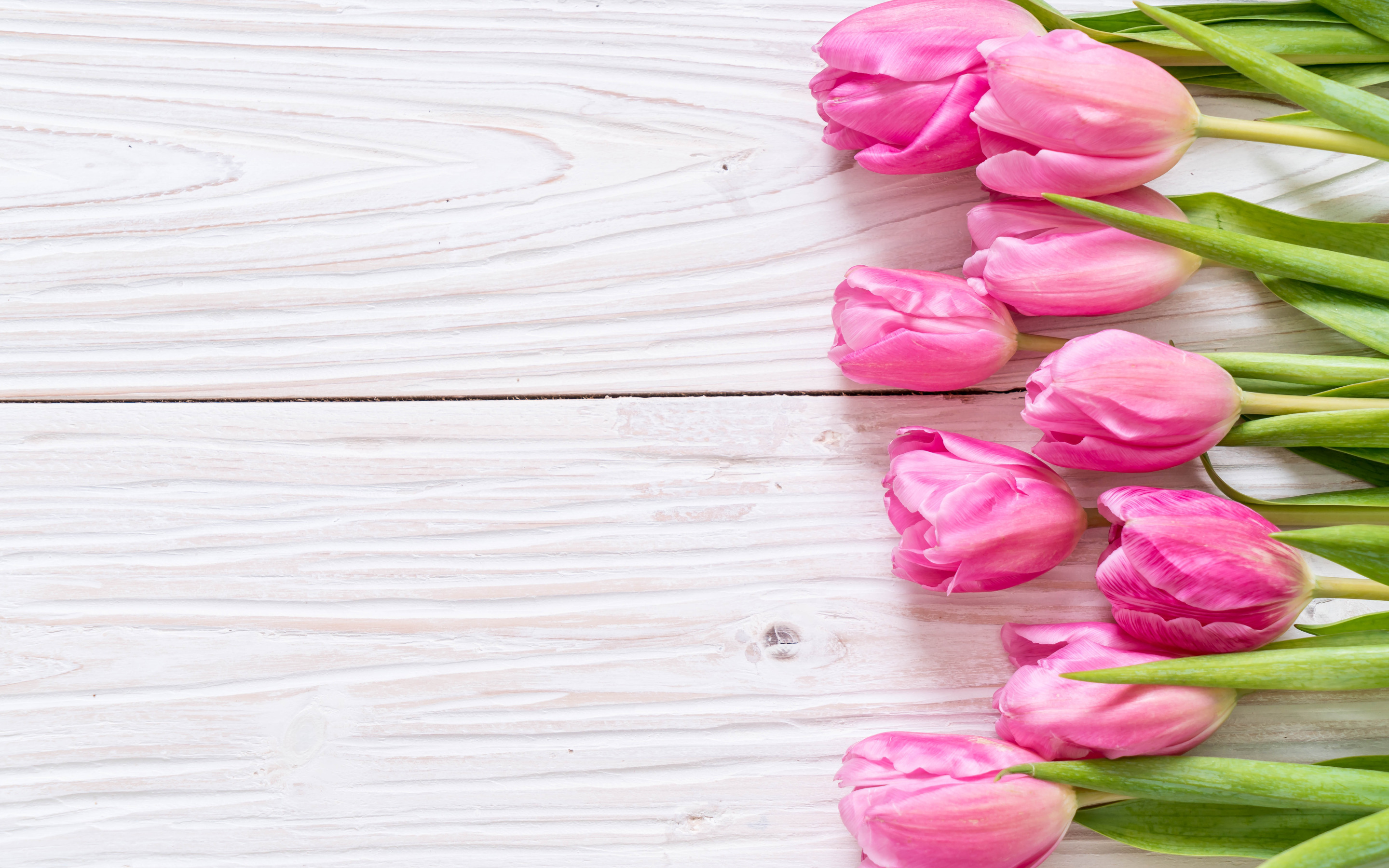 Обложка для вк тюльпаны. Розовые тюльпаны. Тюльпаны на деревянном столе. Цветы на деревянном фоне. Тюльпаны фон.