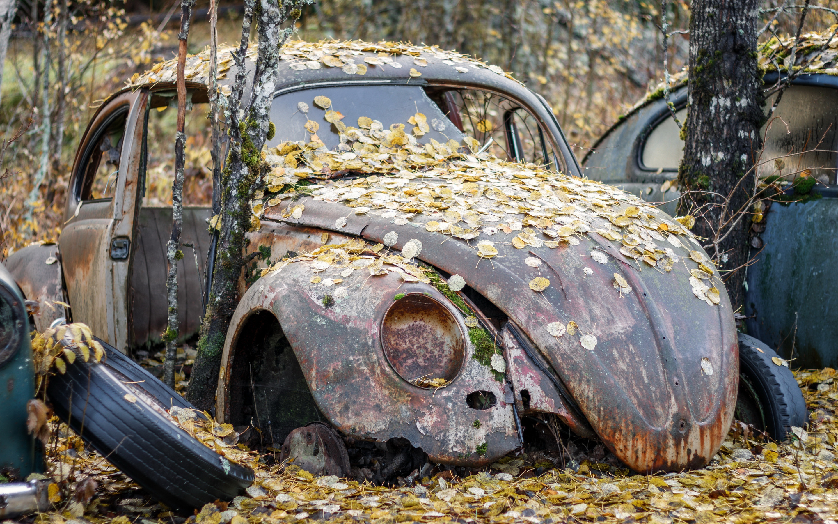 Самые ужасные машины обои