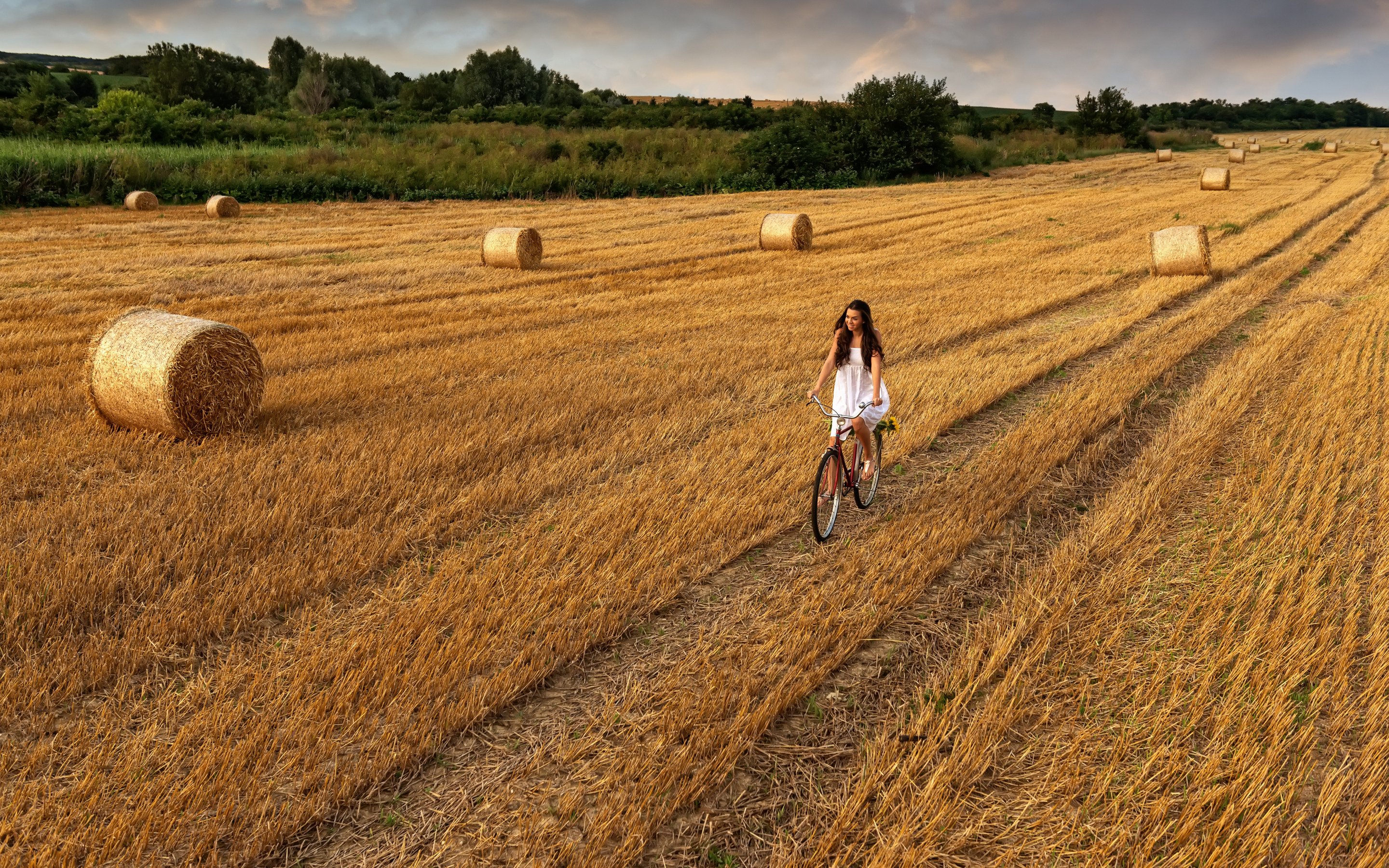 Велик в поле. Велосипед в поле. Поле сено. Поле пшеницы. Красивые поля с сеном.