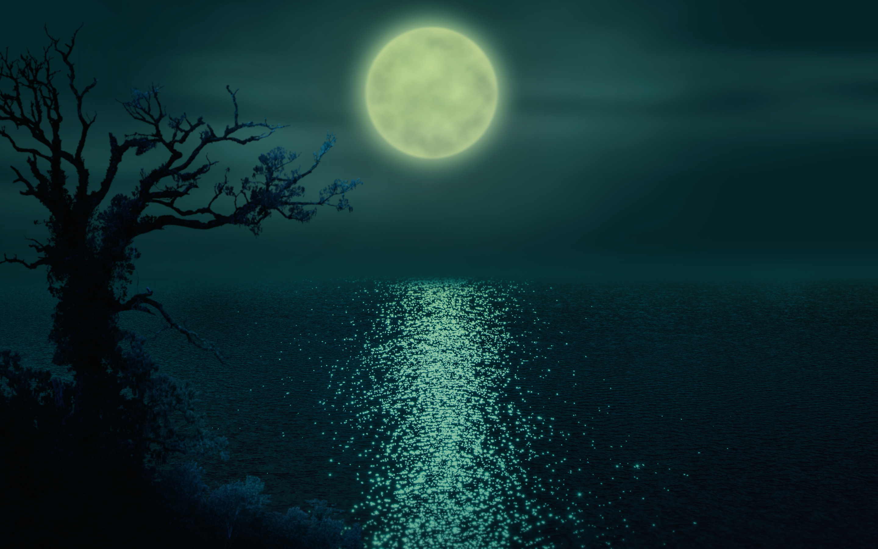 Moonlight on the river. Ночь. Лунная ночь. Ночь в море. Ночное море.