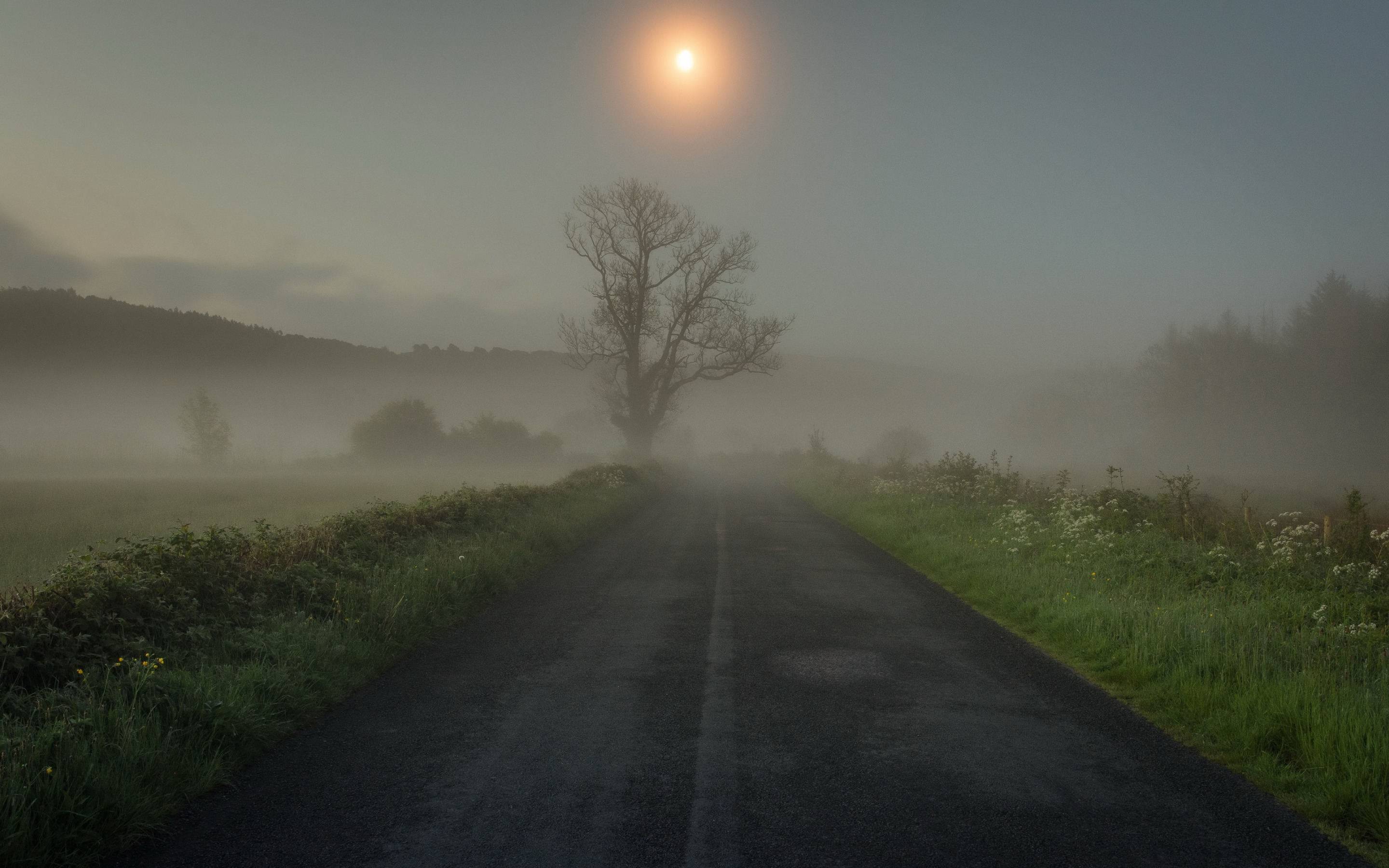 Дымка горизонта. Дорога в тумане. Проселочная дорога ночью. Туманный пейзаж. Дорога в поле.