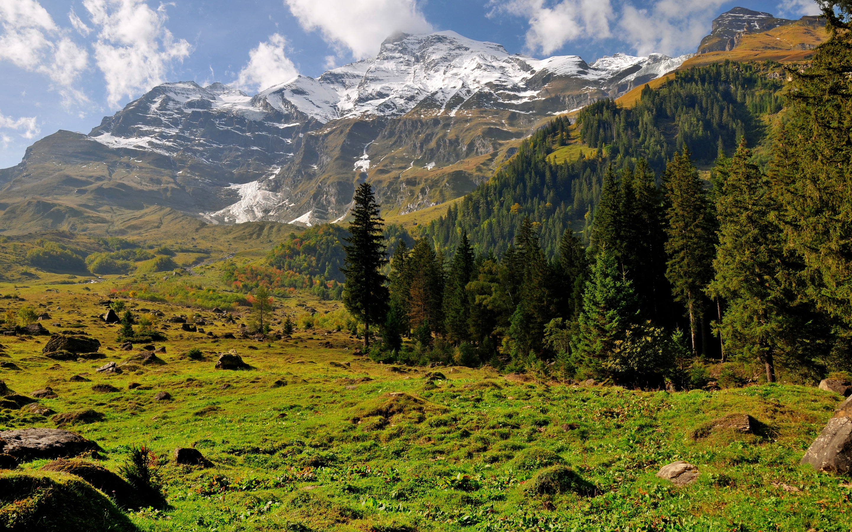 B c mountains. Грин Маунтинс хребет. Лес горы. Лесистые горы. Горный лес.