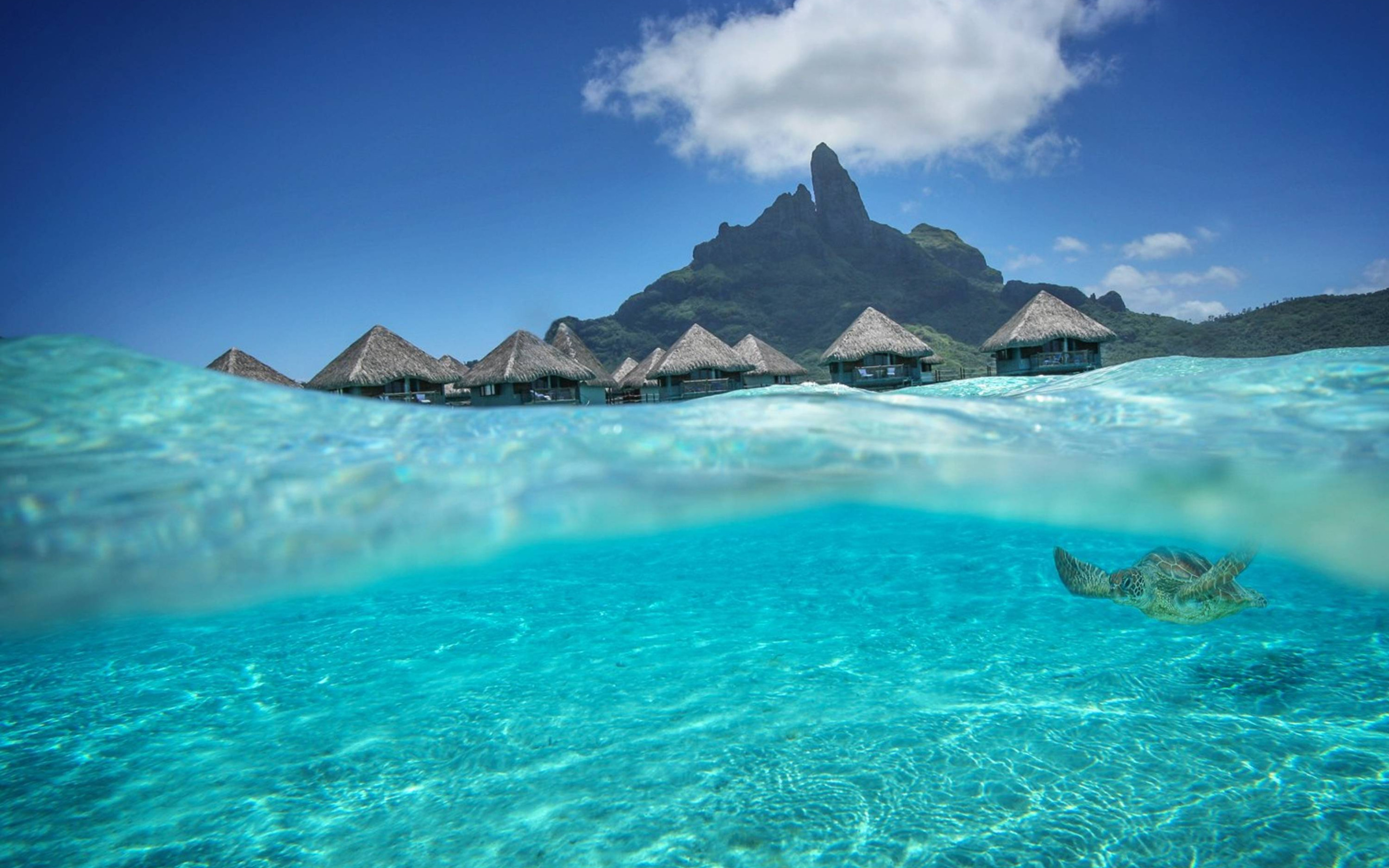 Island вода. Остров Бора-Бора (Bora-Bora). Бора Бора голубая Лагуна. Остров Бора Бора океан. Таити голубая Лагуна.