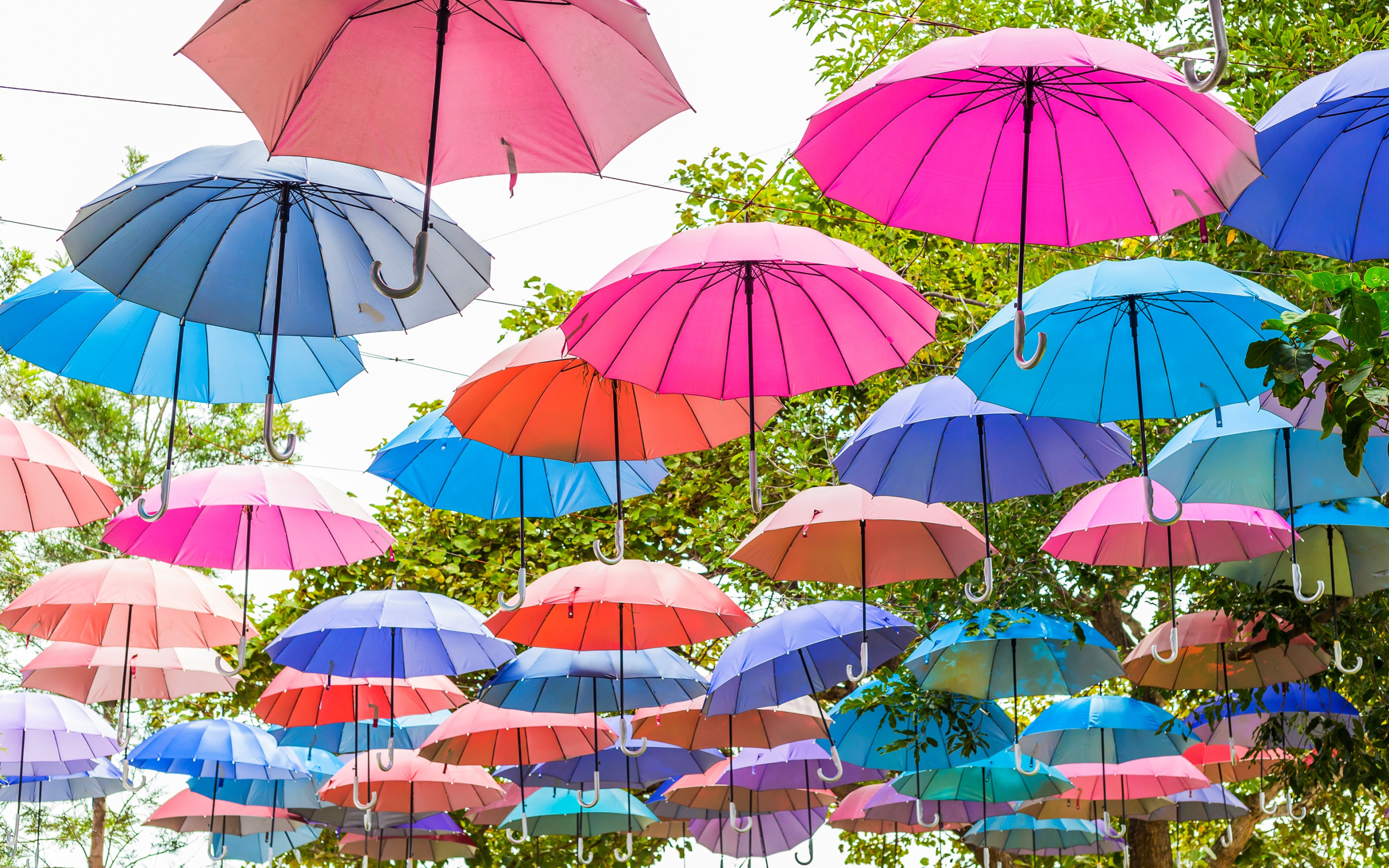 Поющие зонтики. Разноцветные зонтики. Разноцветный зонт. Зонтики яркие. Красивые зонтики.