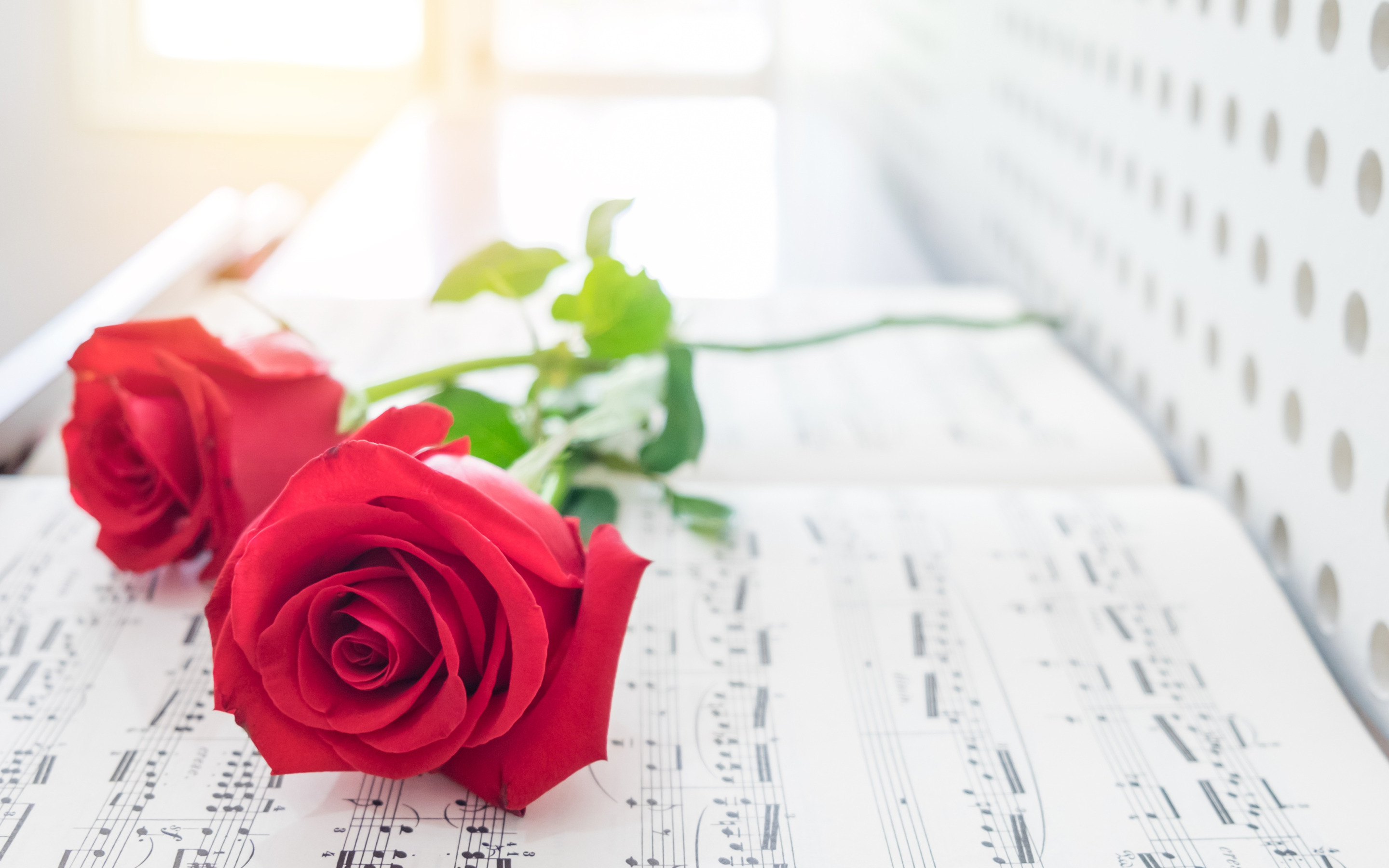 Песни розовый букет. Ноты и цветы. Музыкальный фон. Красивый фон с нотами и цветами. Фортепиано и цветы.
