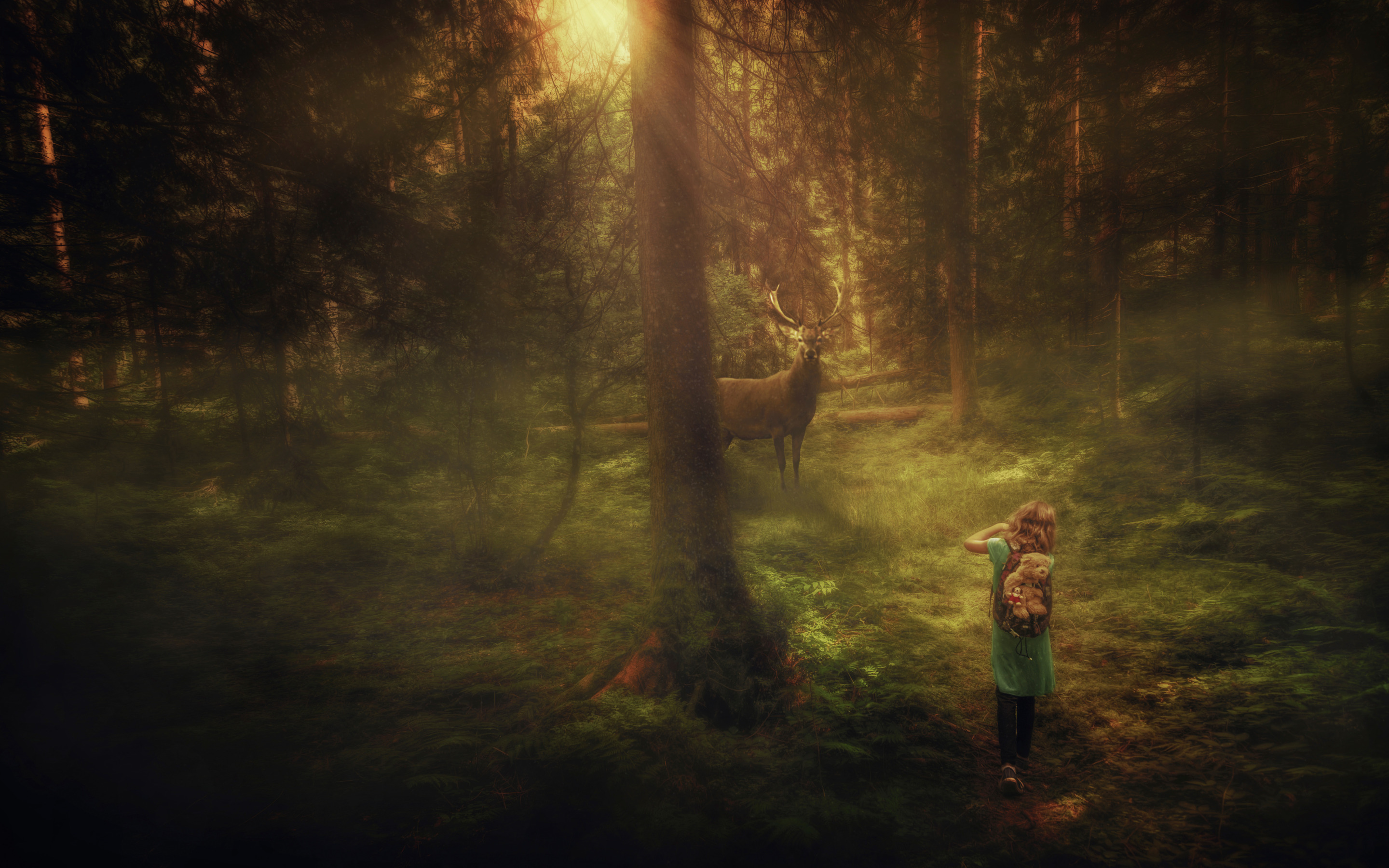Трогательный лес. Девочка в лесу. Прогулки по лесу. Девочка в дремучем лесу. Человек на Поляне в лесу.