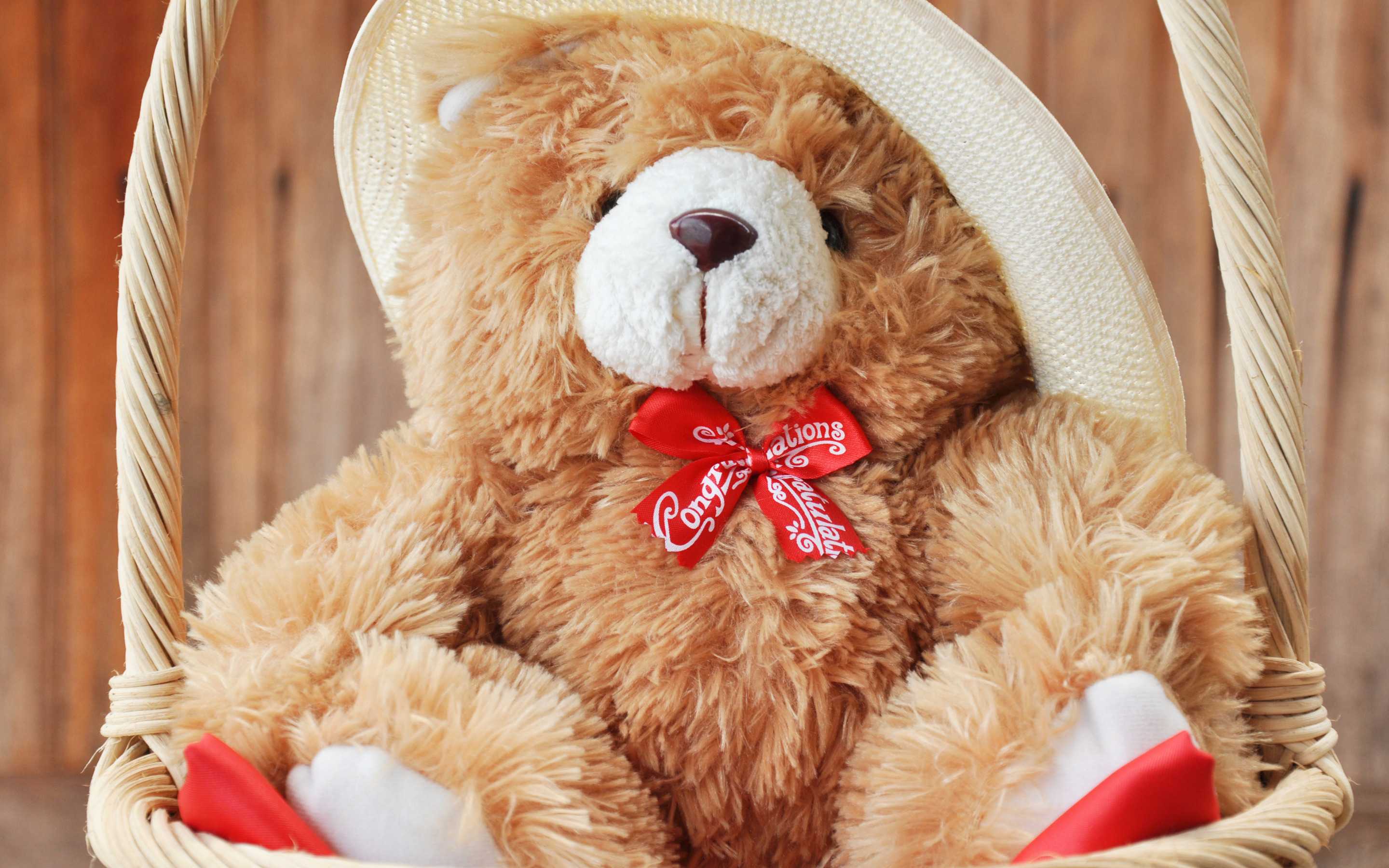 Teddy s bear. Тедди Беар. Плюшевый мишка. Красивые мягкие игрушки. Плюшевые игрушки.