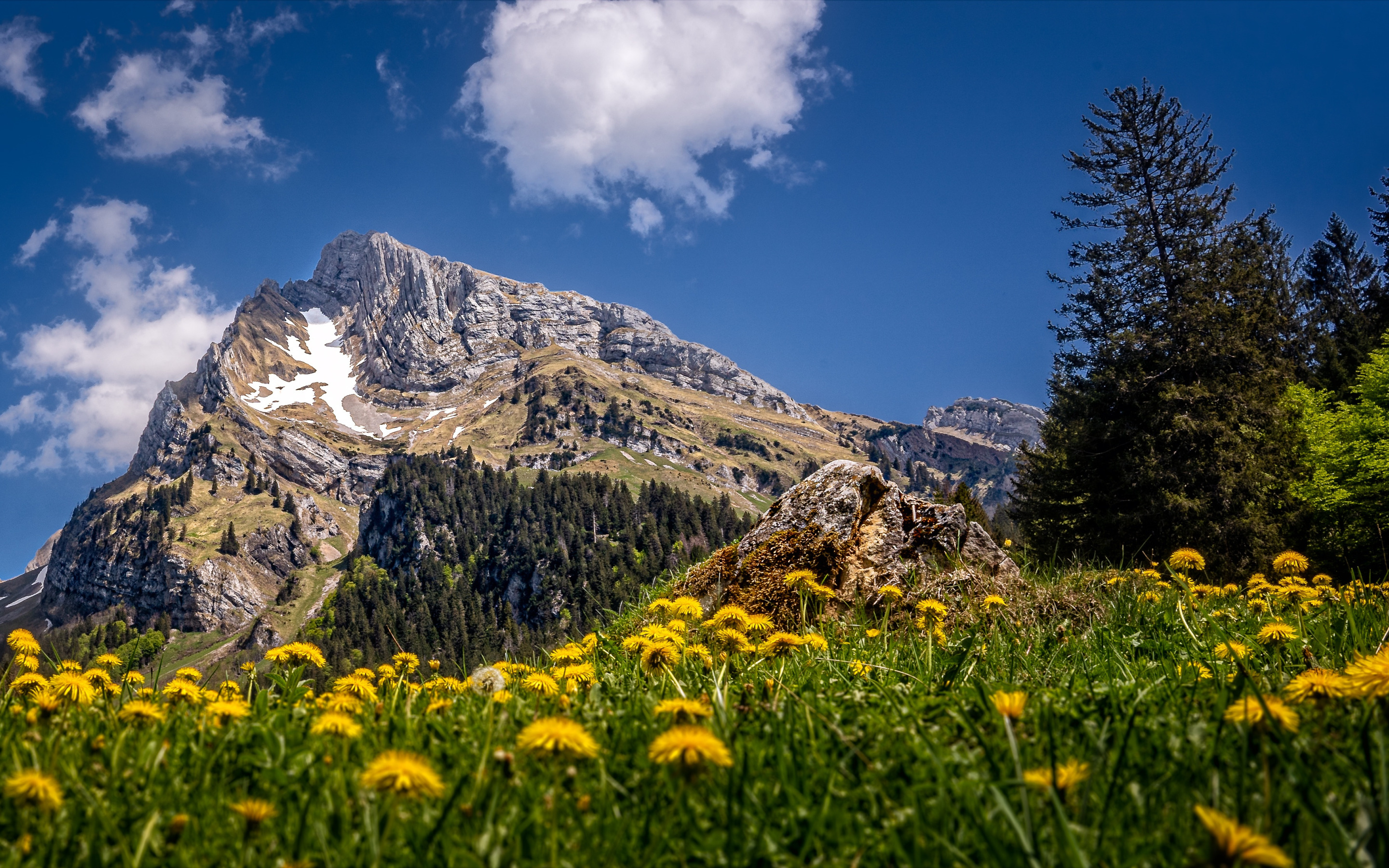 Гора лета. Альпы Швейцария. Горы Швейцарии. Швейцария природа горы. Швейцария утесы.