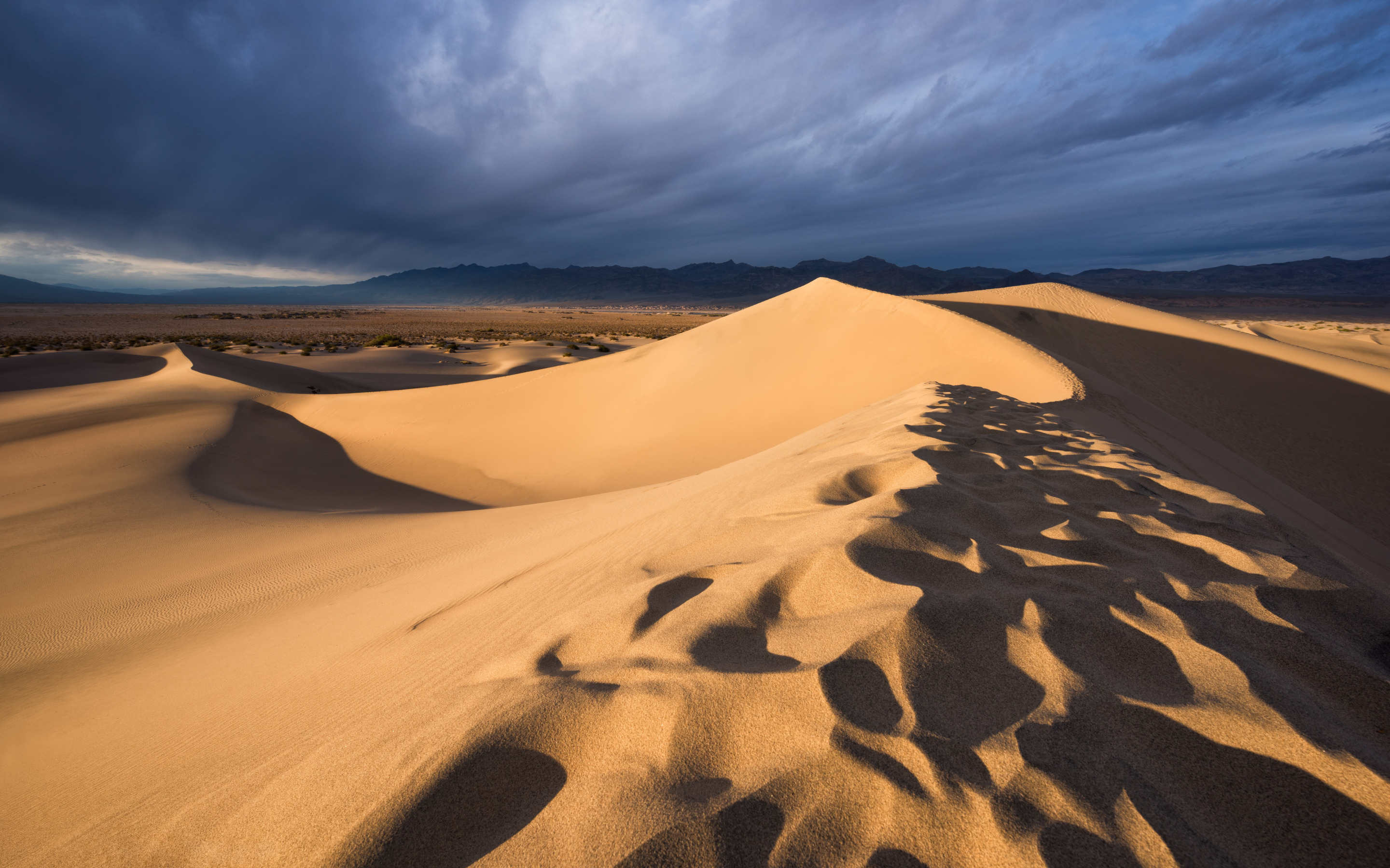 Дюна пустыня. Песчаные дюны в Сычево. Дюны Барханы грядовые Пески. Куйтунские дюны.