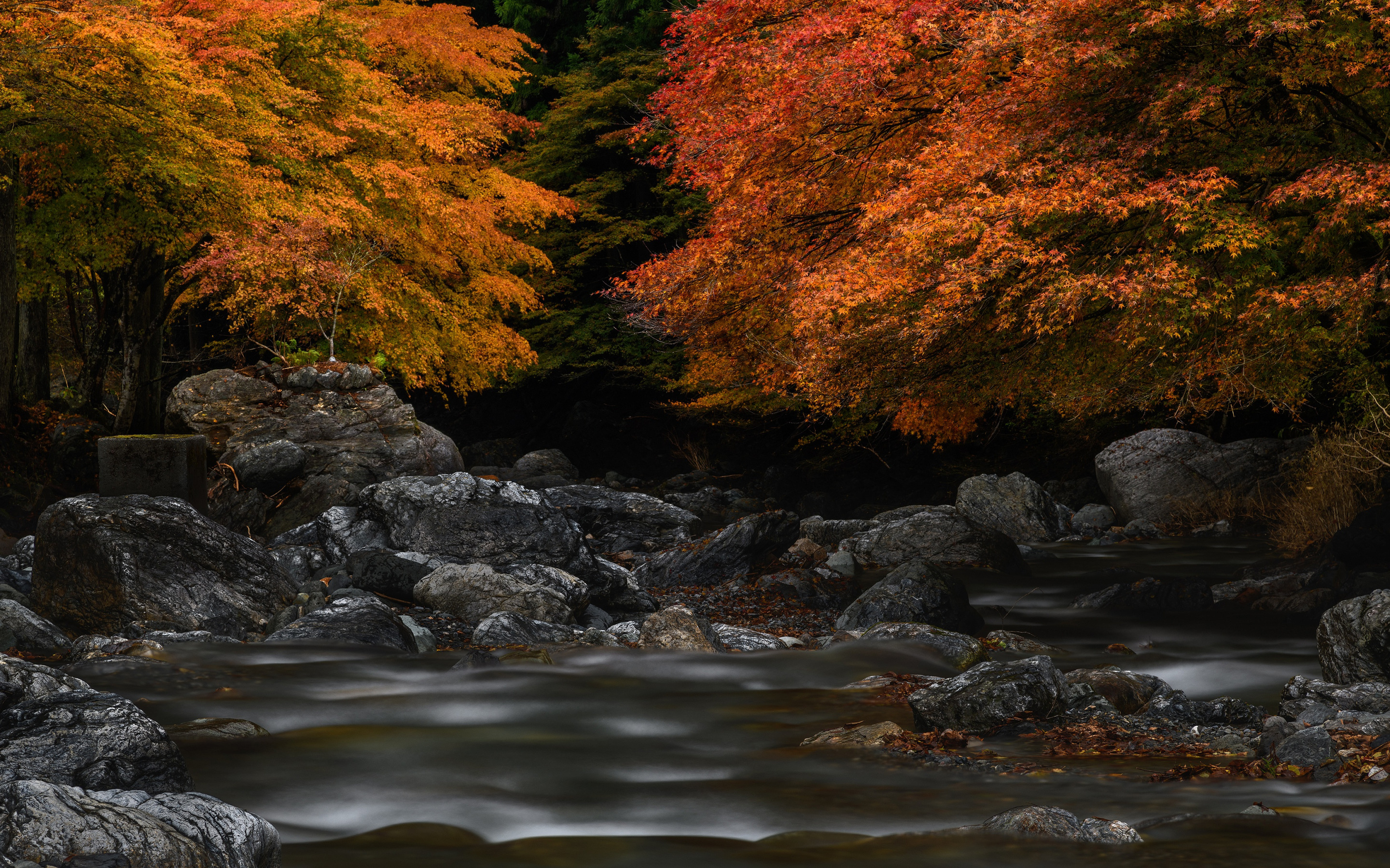 Stone fall. Осень лес водоем. Природа картинки осень водопад. Фон Камени и листва. Бежал ручей по камешкам рисунок.