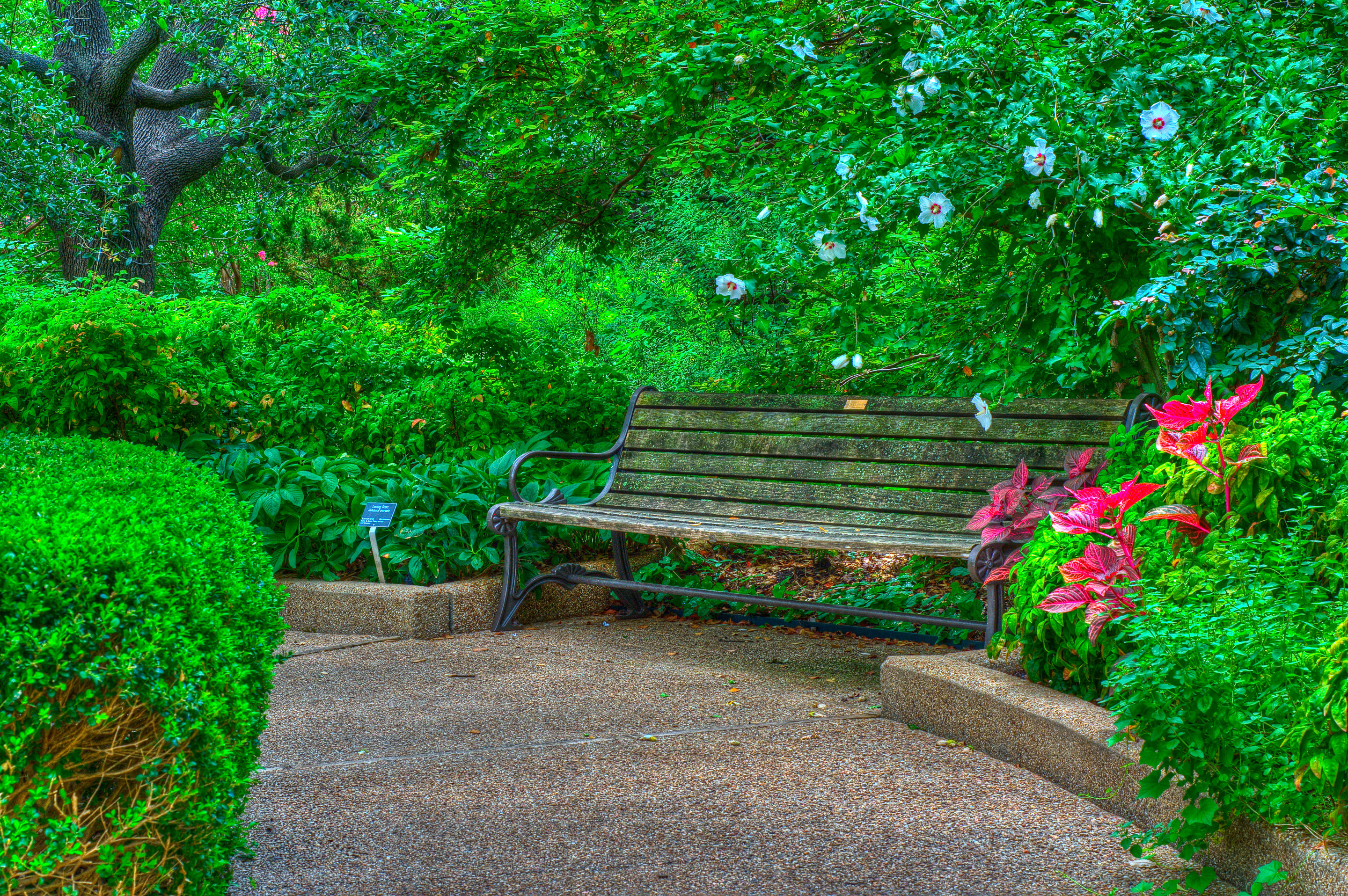 Красивые зеленые места. Красивый парк. Красивый сад. Скамейка в парке. Зеленая скамейка в саду.