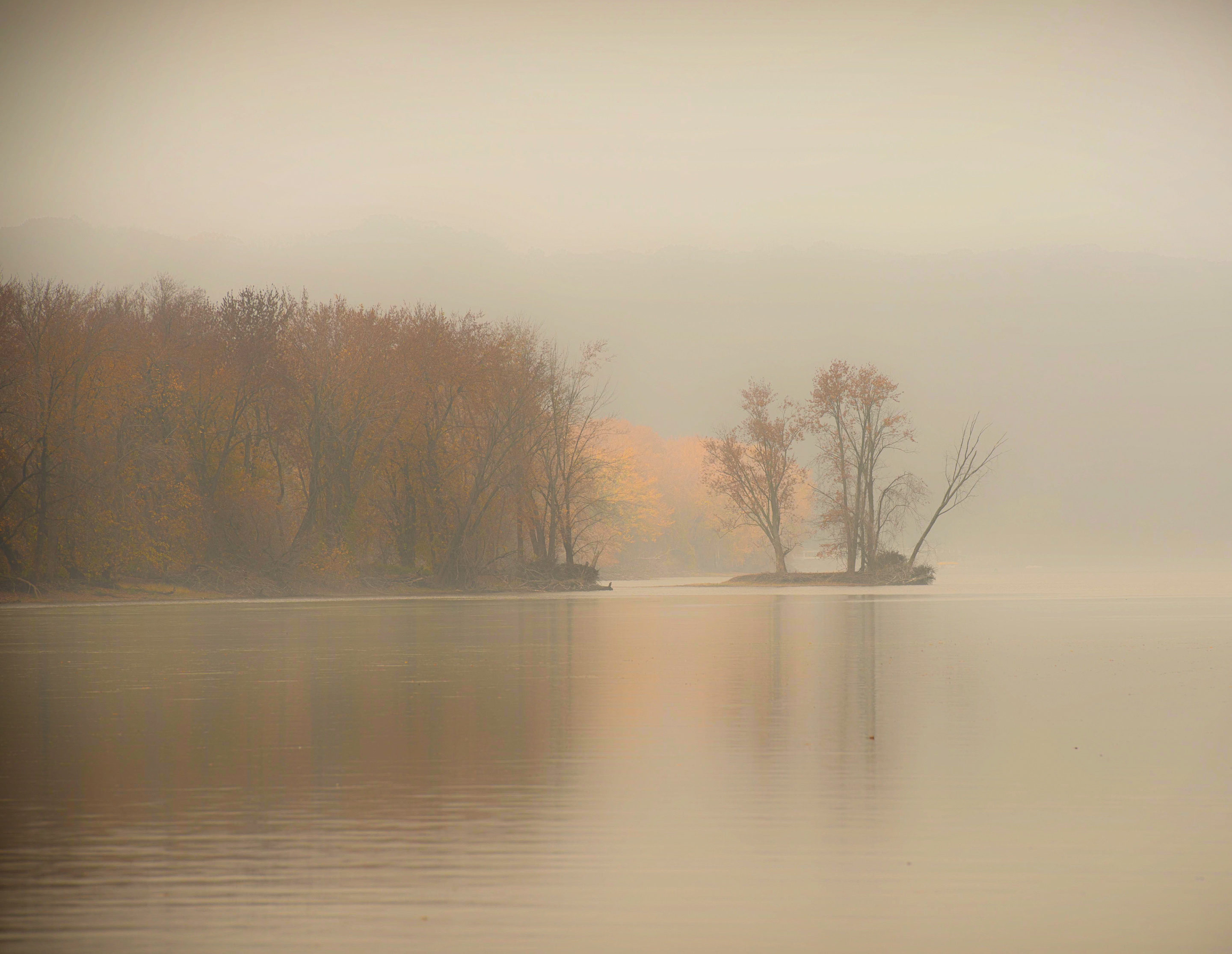 Стихотворение густой туман. Туман в живописи. Утро туман. Туманное утро. Туман на реке живопись.