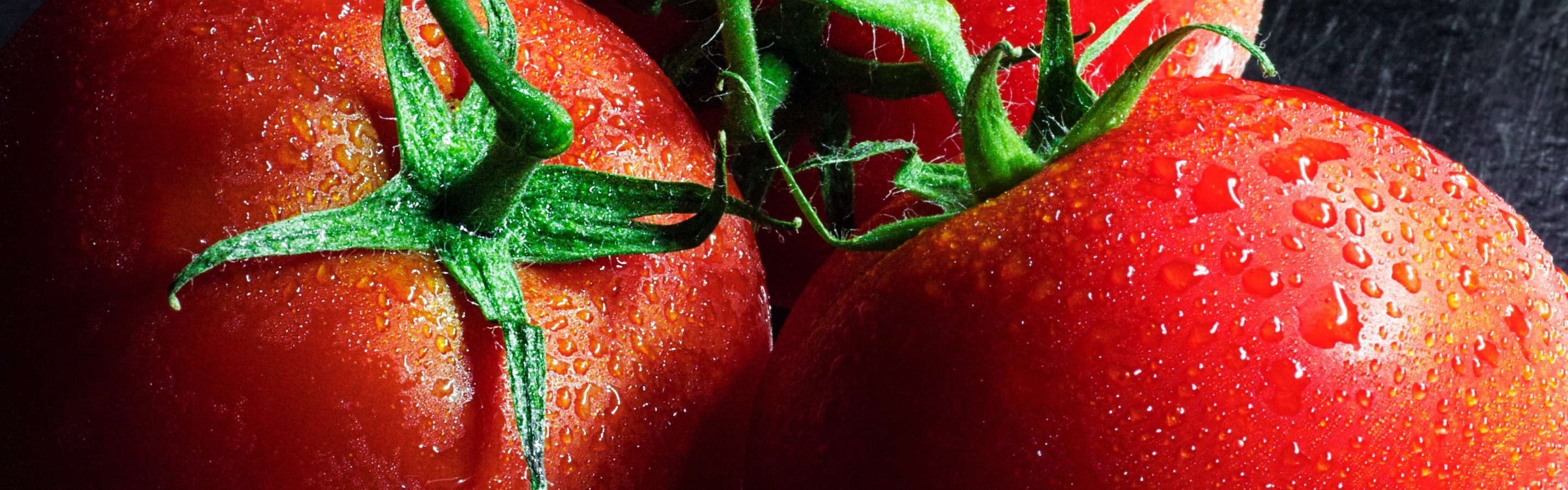За сколько вырастают помидоры. Гифка растет помидор. Можно ли в томатах выращивать свеклу.