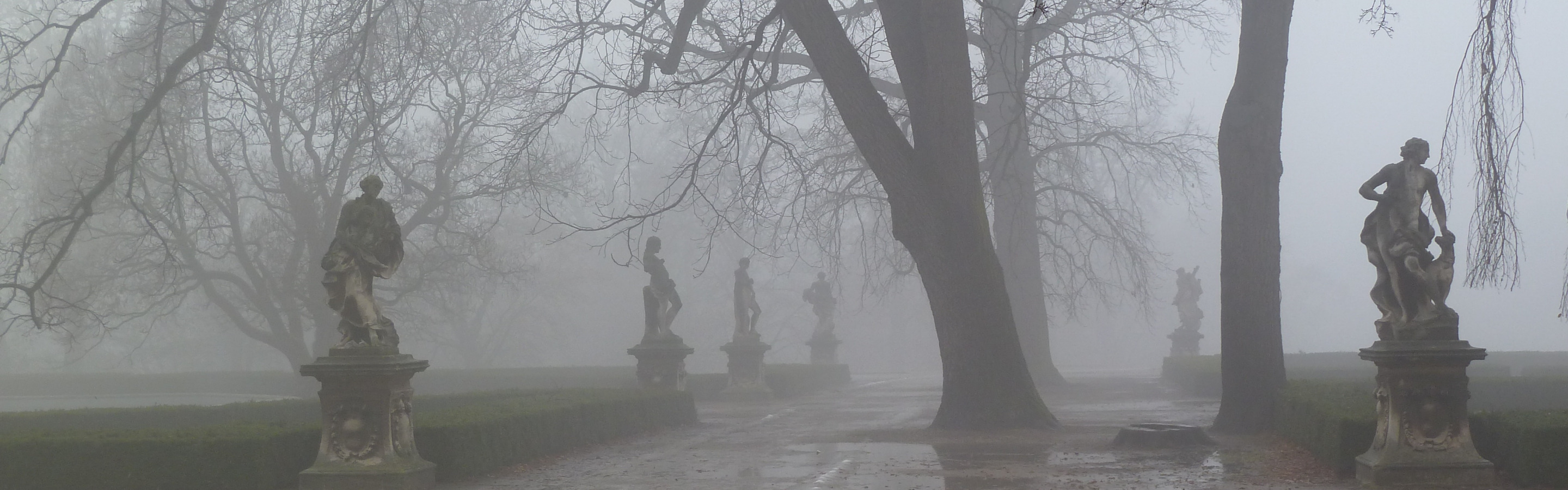 парк в тумане