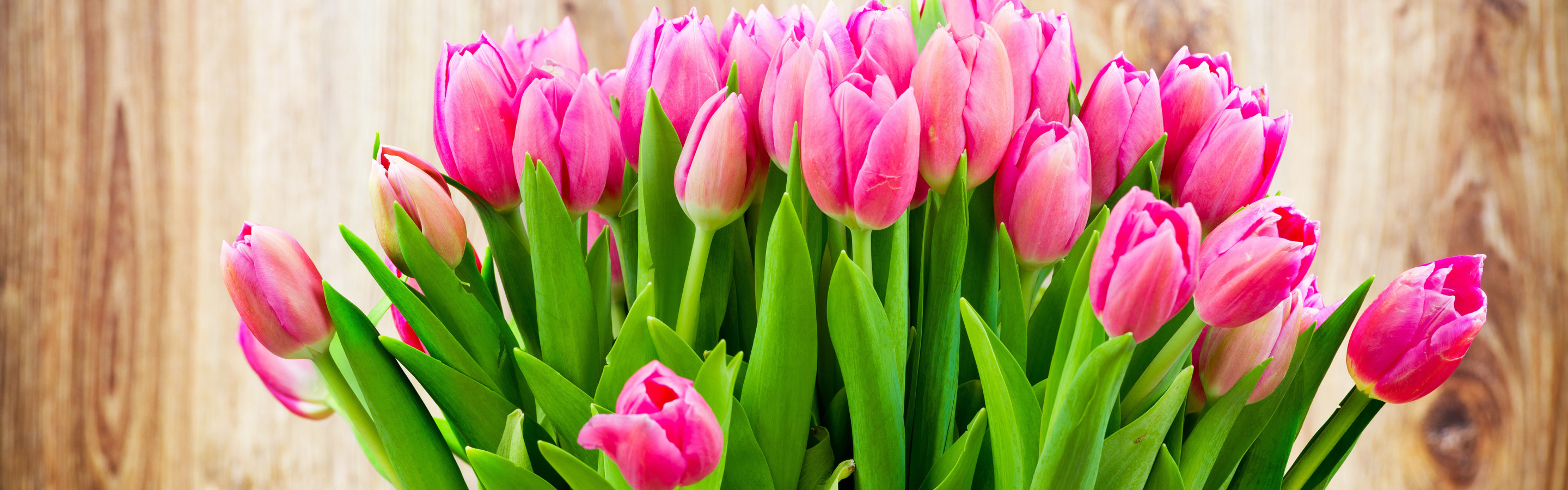Обложка для вк тюльпаны. Розовые тюльпаны. Весенние цветы.