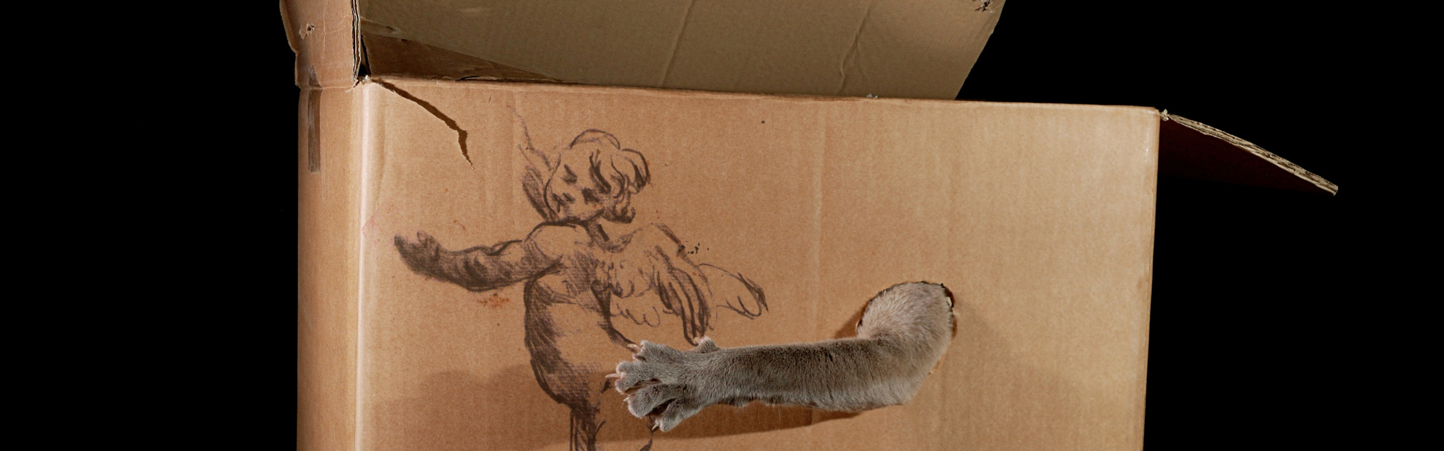 Том игра в коробки. Коробка для кота. Кот в коробке. Коробка для игры кошки. Кот из коробки.